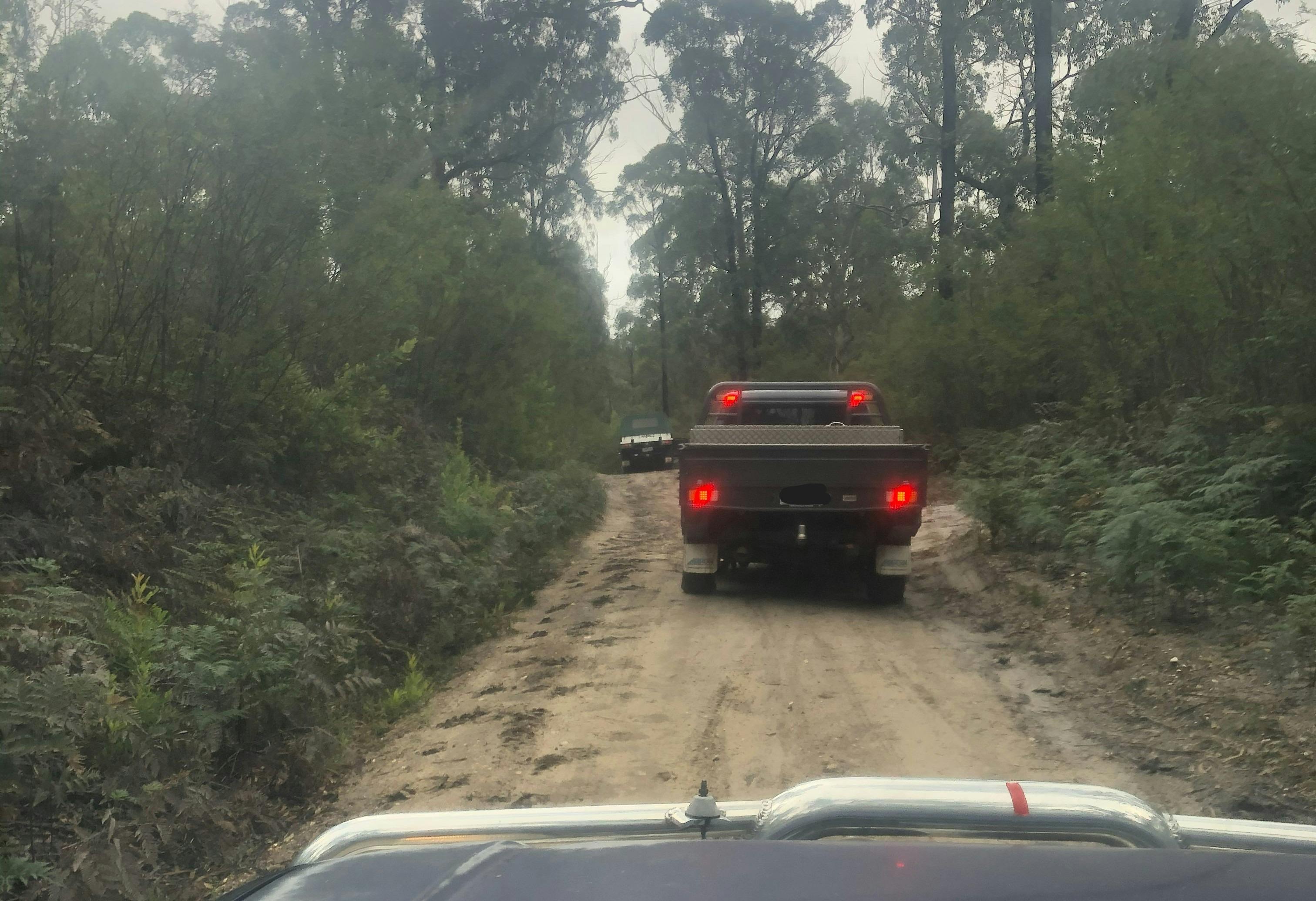 Bairnsdale - follow the leader