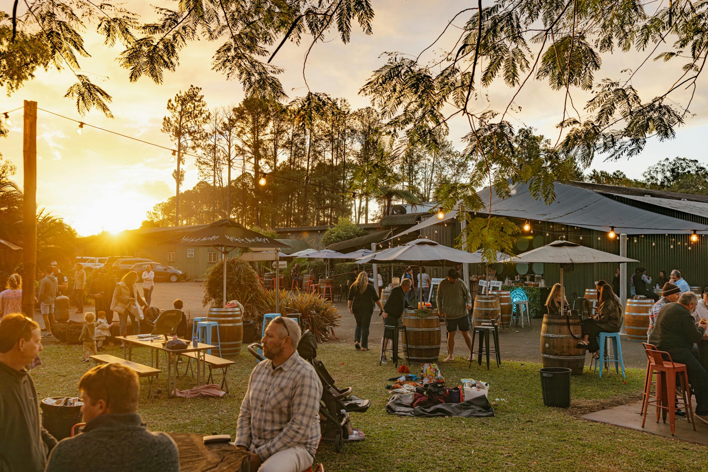 Sunset drinks and live music at Mt Uncle Distillery in the Atherton Tablelands