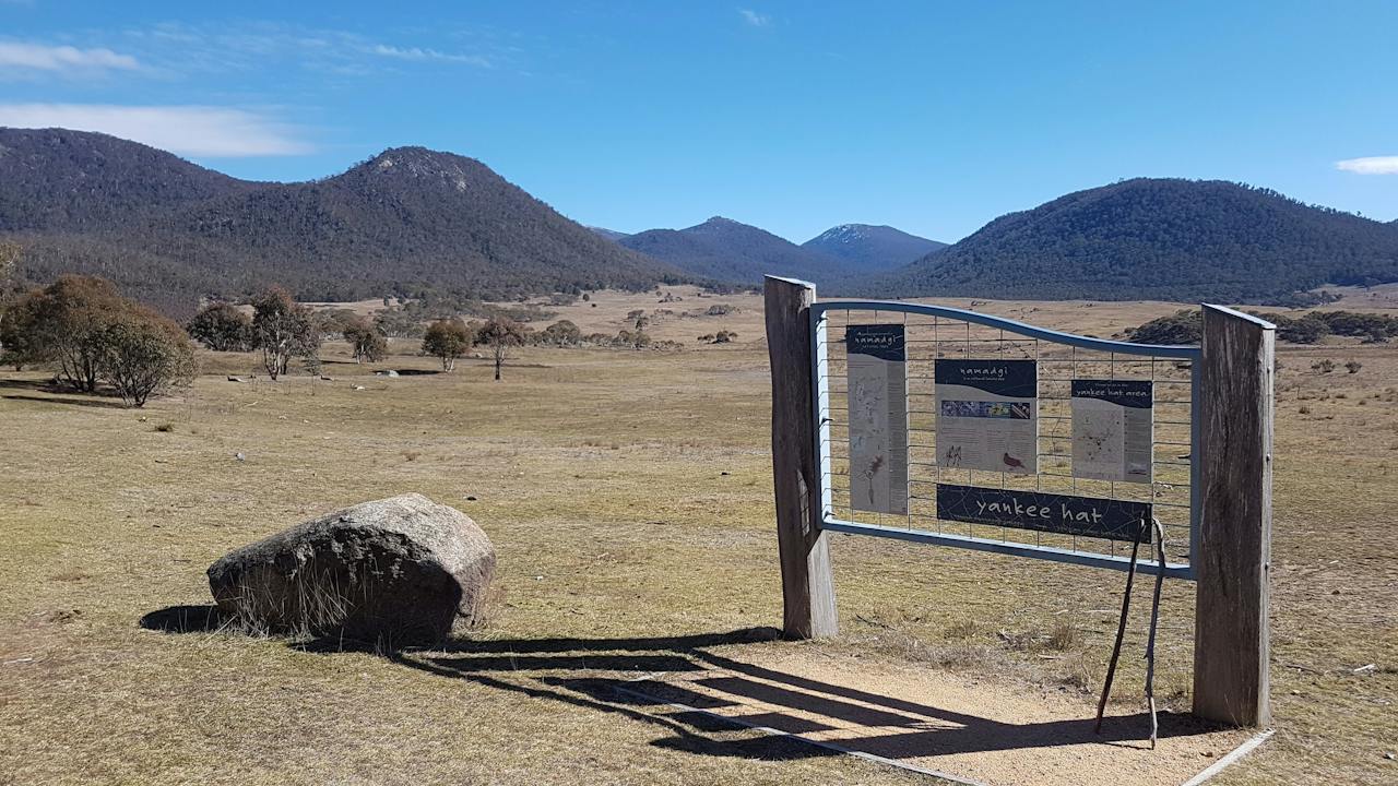 Yankee Hat walking trail