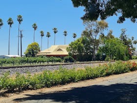 Showing Palm trees and a winery