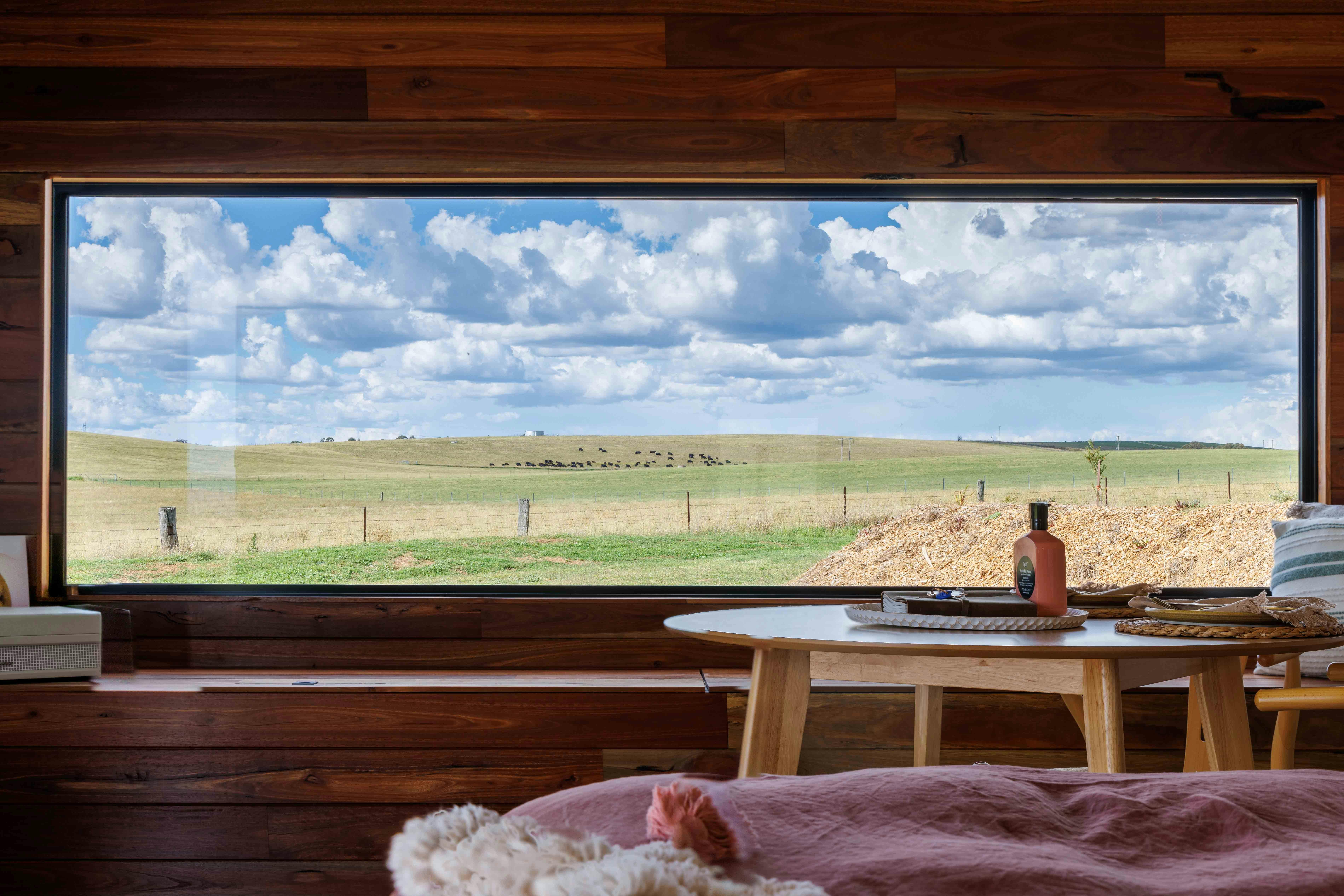 Views of angus paddocks