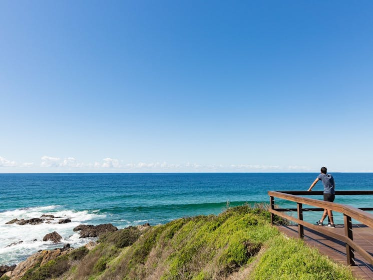 One Tree Point  Lookout