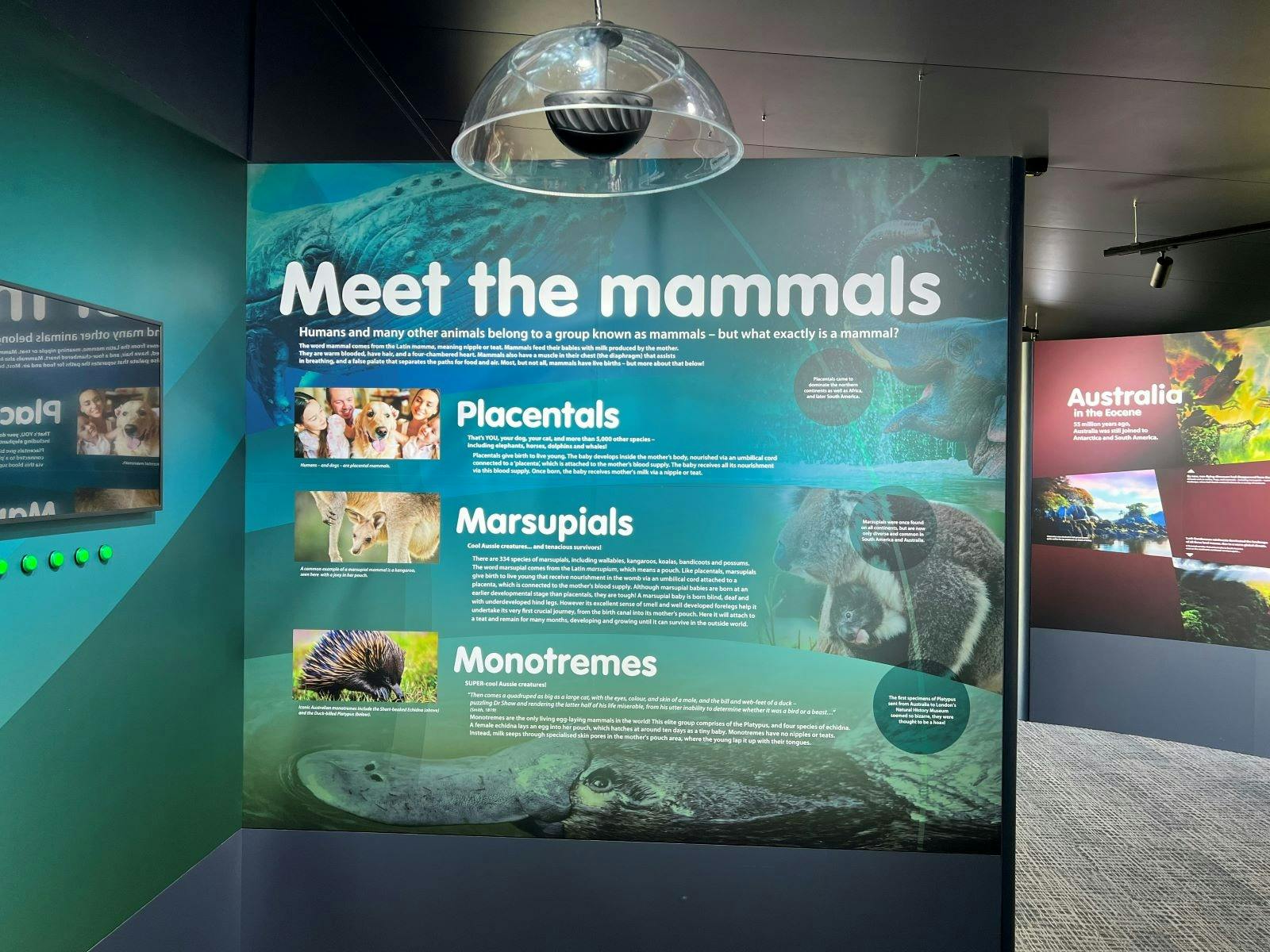 55 Million Years Ago