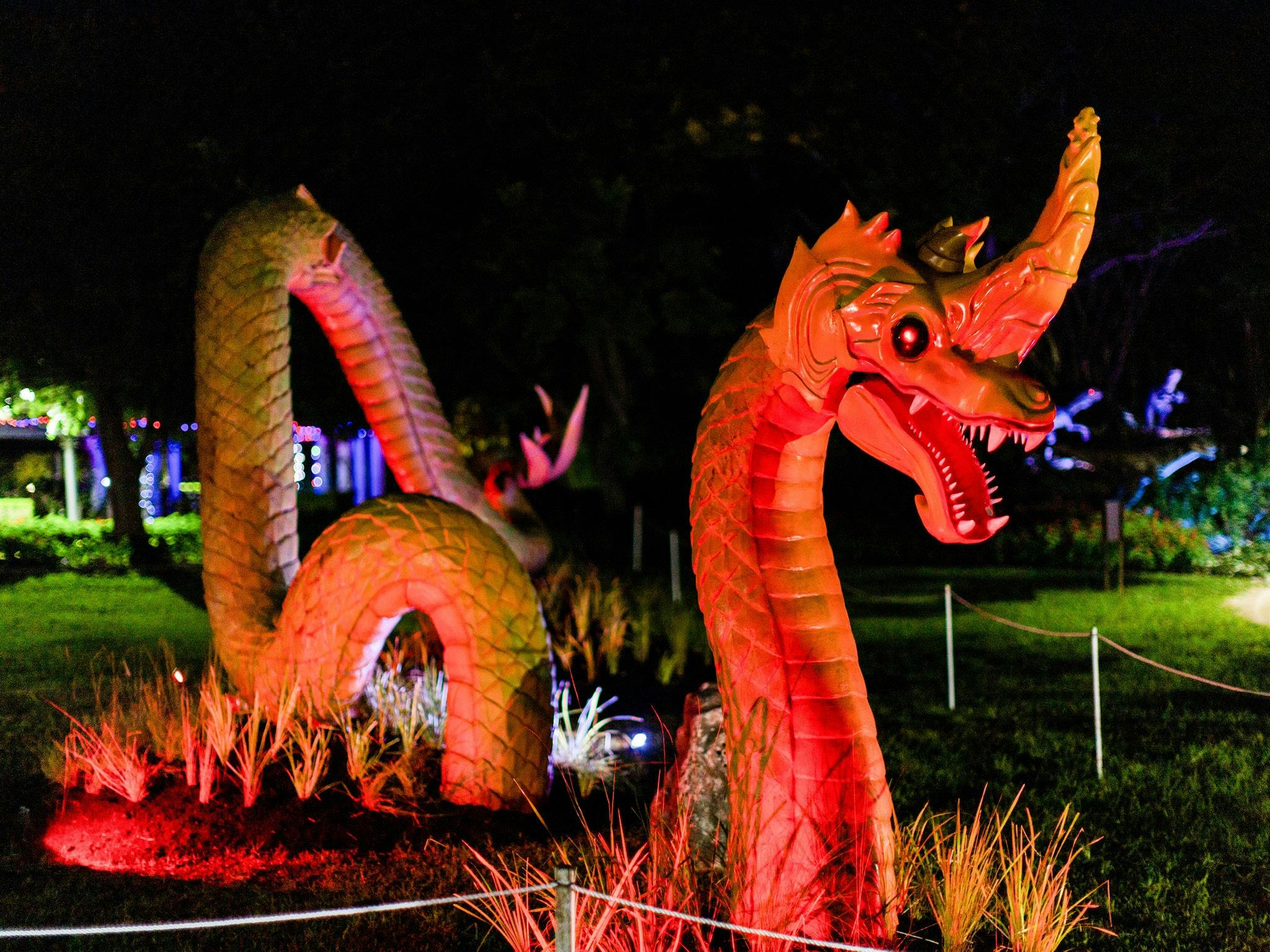 Mega Creatures Night Safari