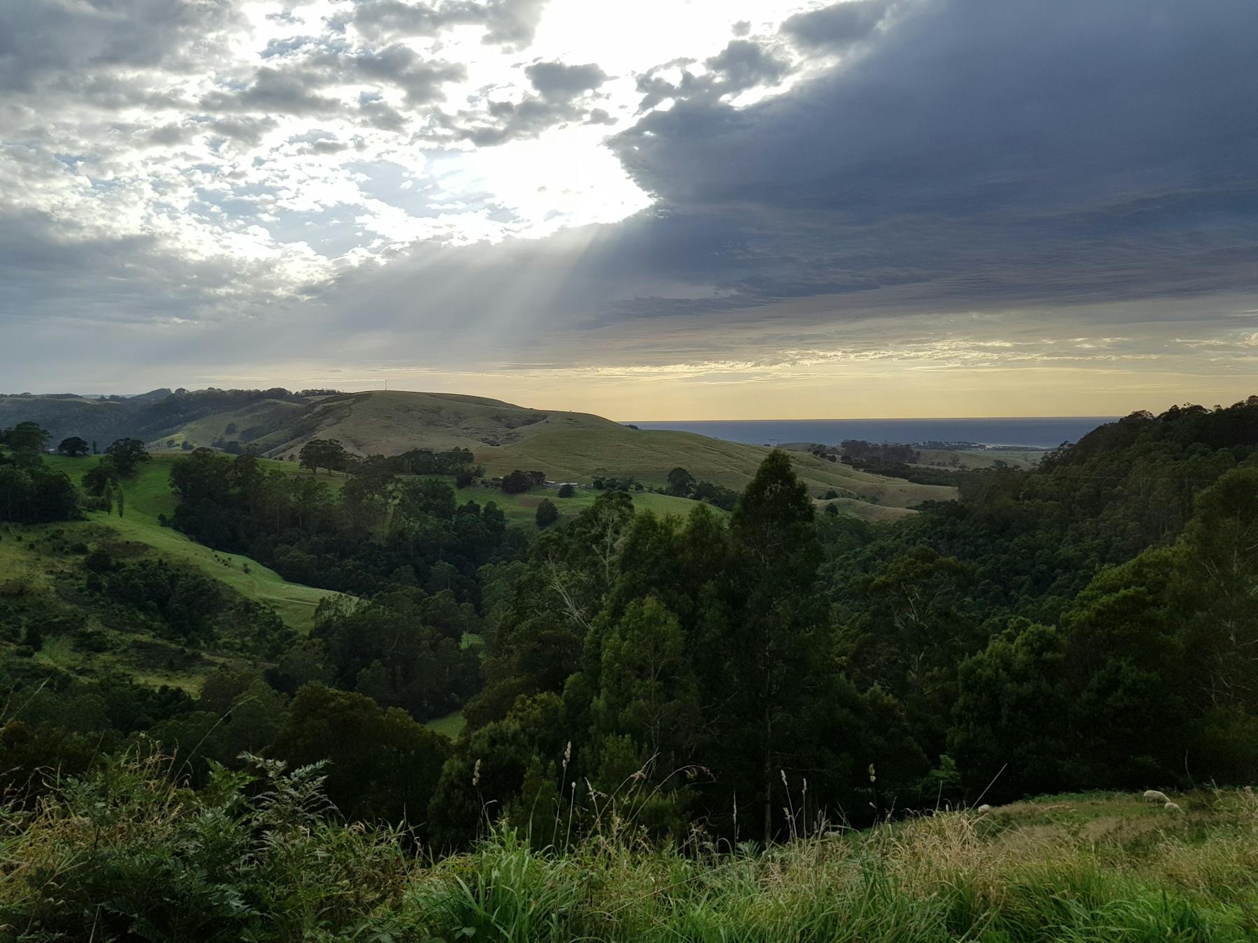 Rolling hills behind Apollo Bay