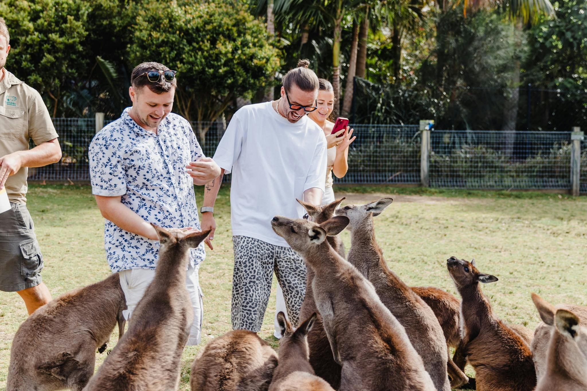 Two men feeding a group of Kangaroos in a field