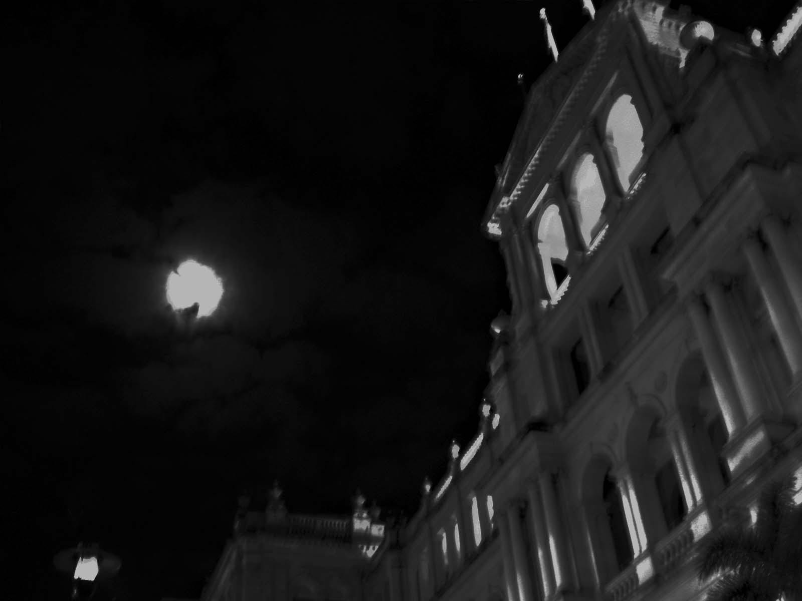 Bloody Brisbane CBD Crime Tour