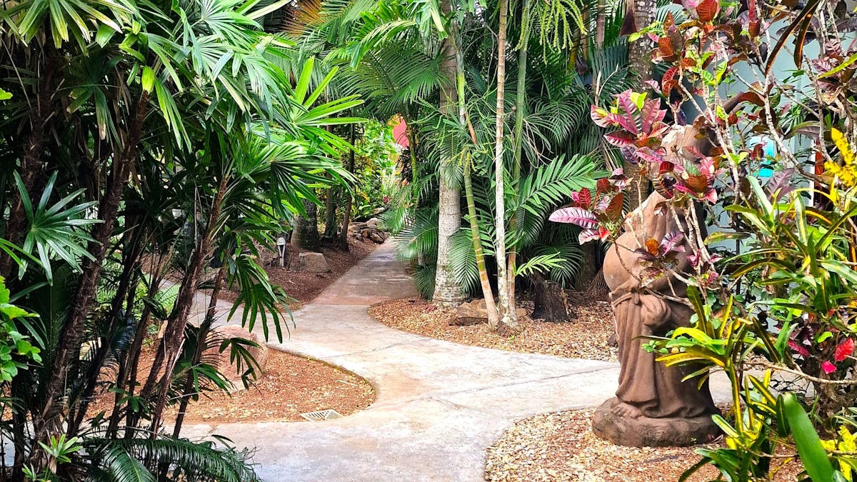 Rainforest Motel Pathway