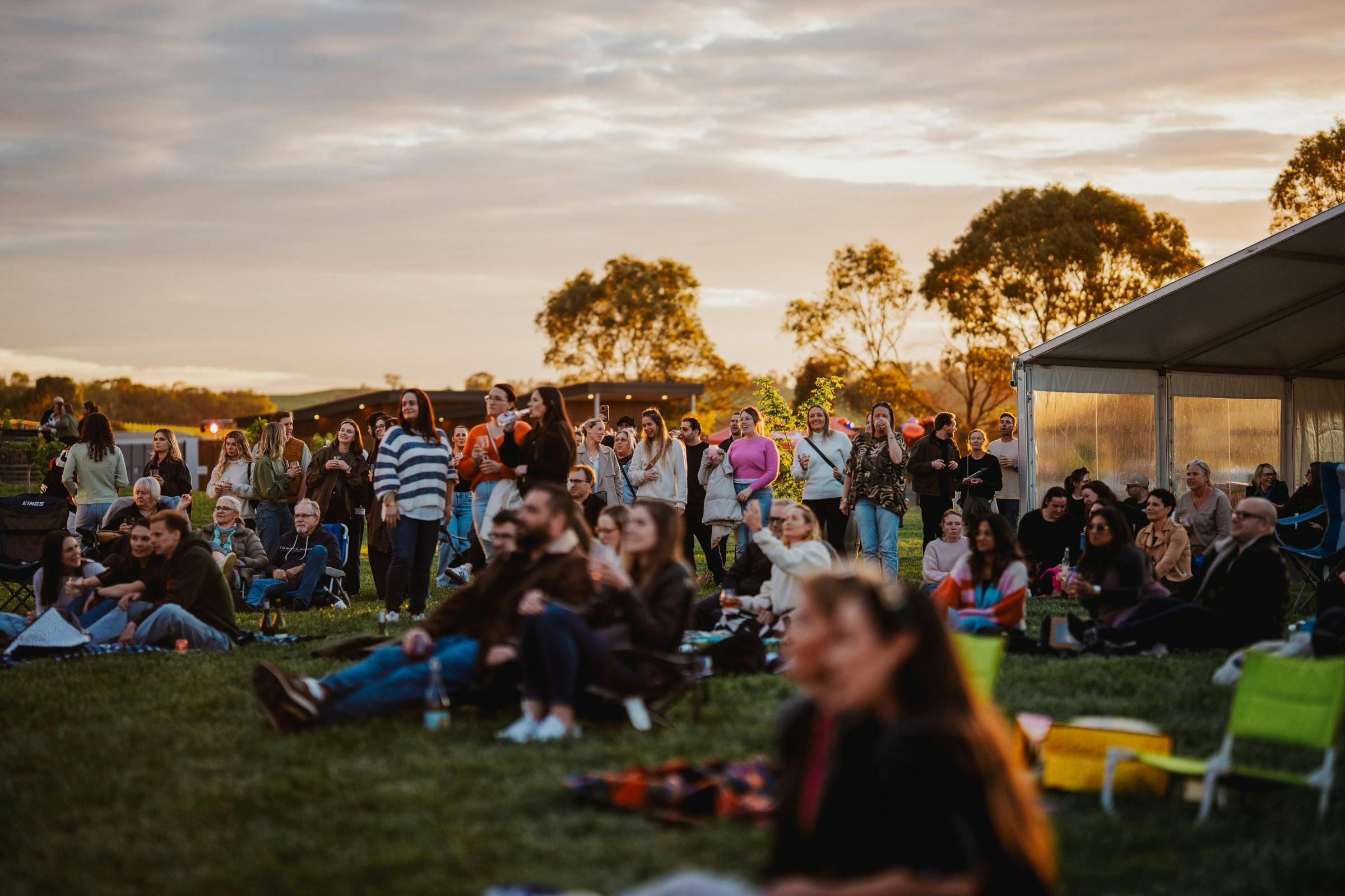 Comedy in the Vines