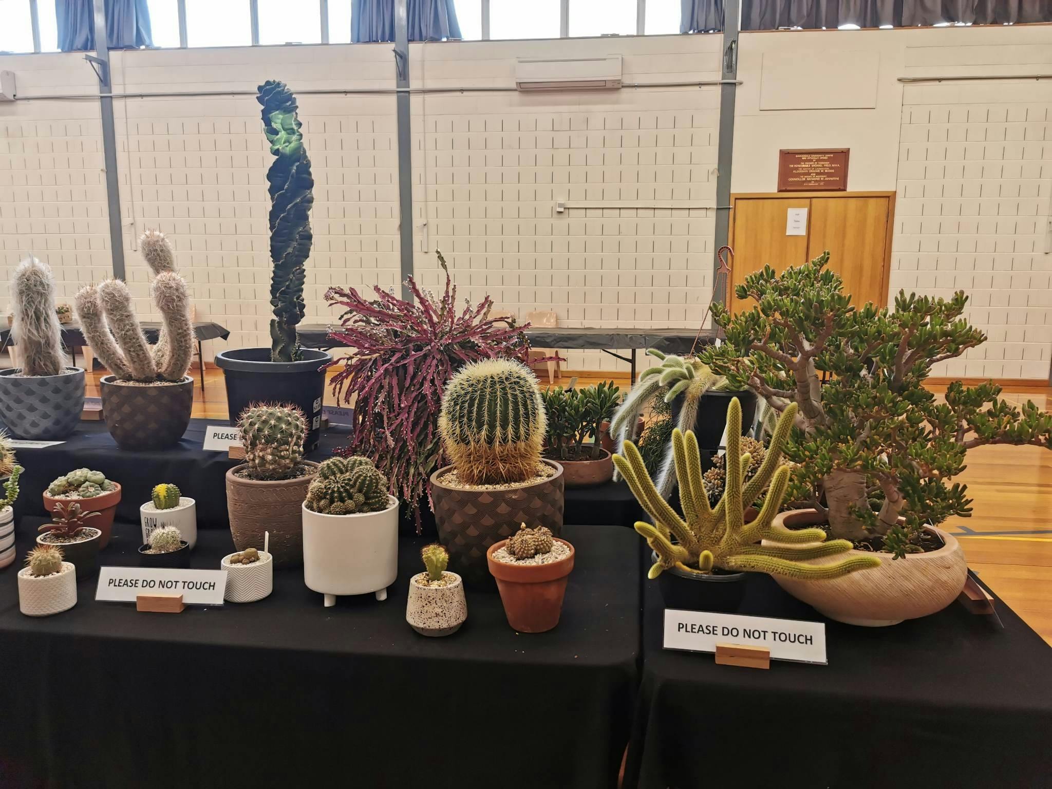 display