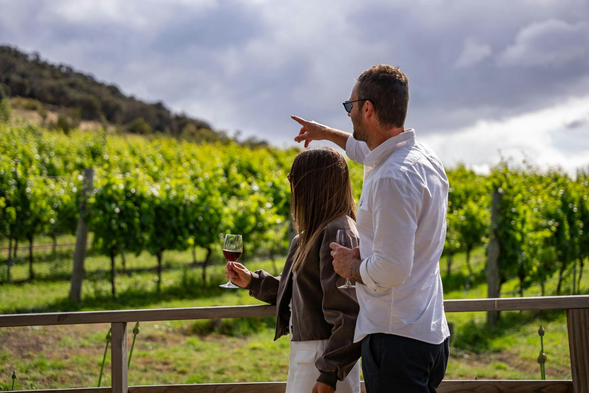 Pooley Wines