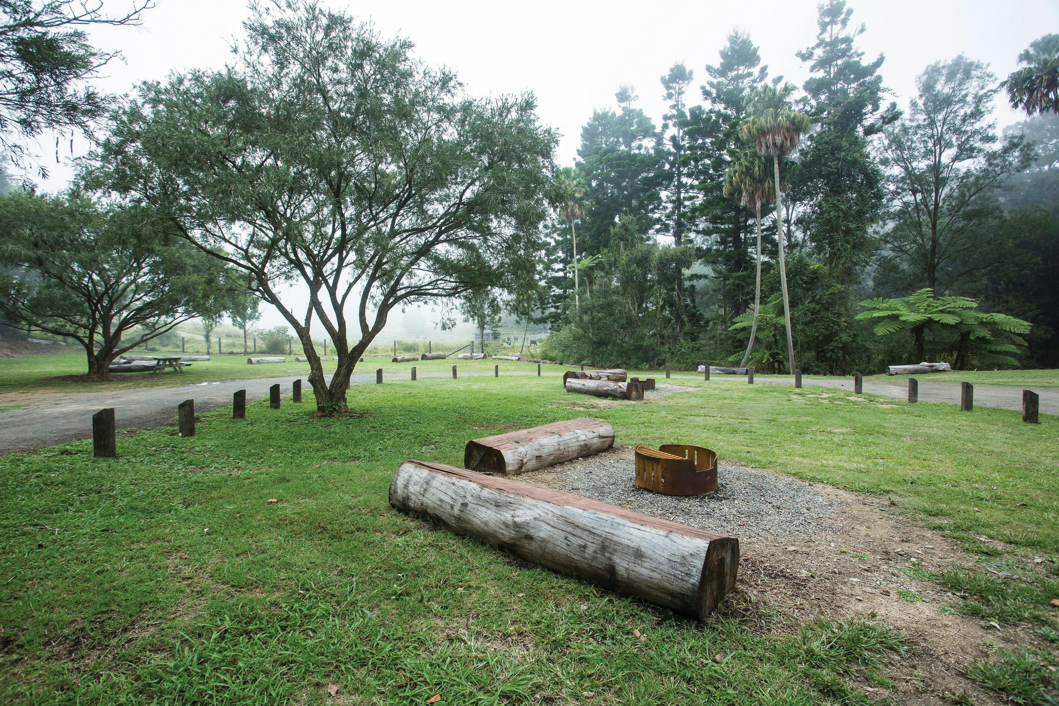 Broken River camping area, Eungella National Park
