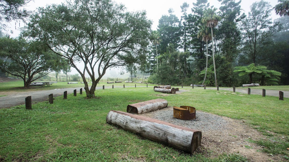 Bush camp setting at Eungella National Park Bush camp setting at Eungella National Park
