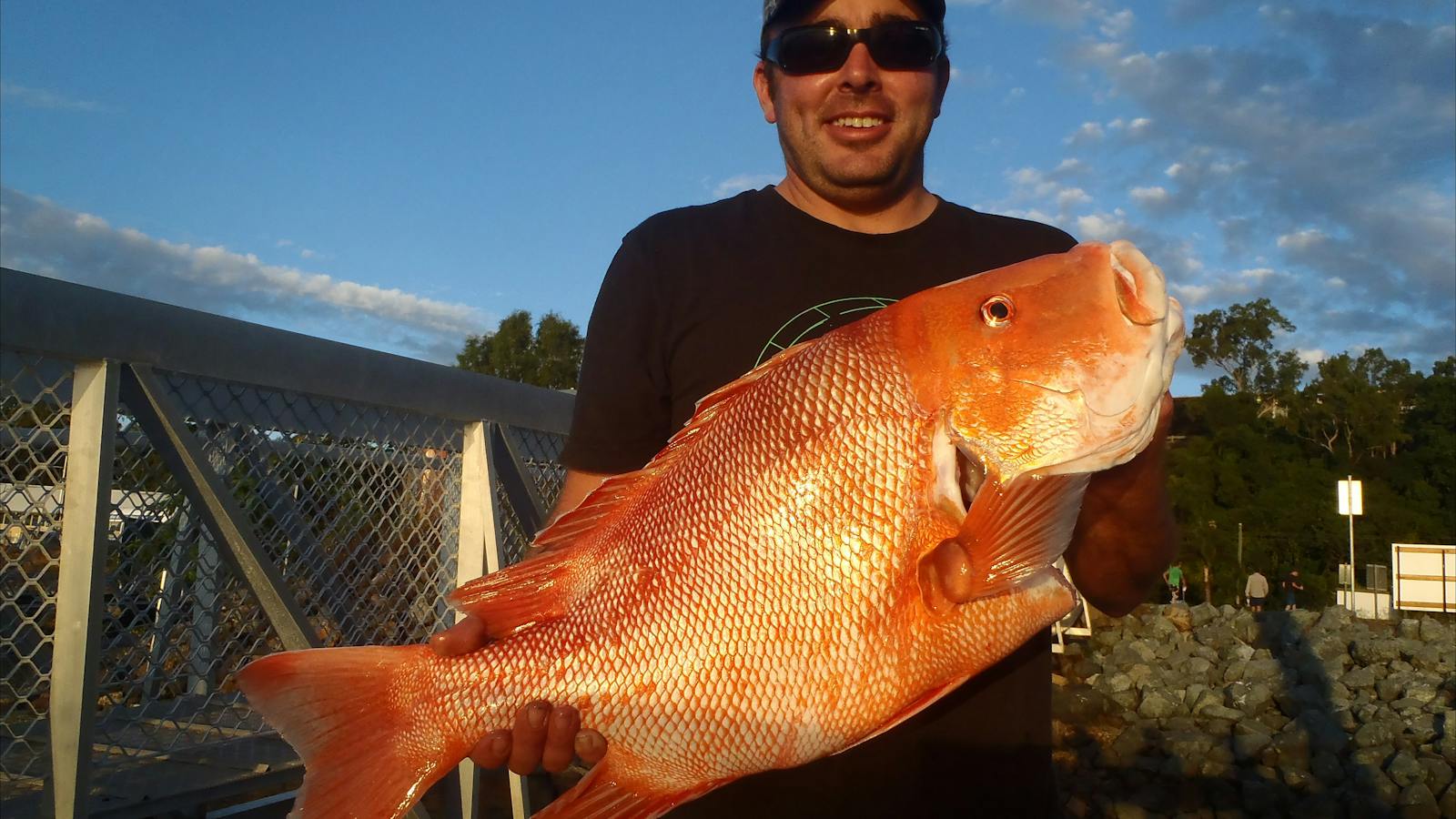 Nice catch!