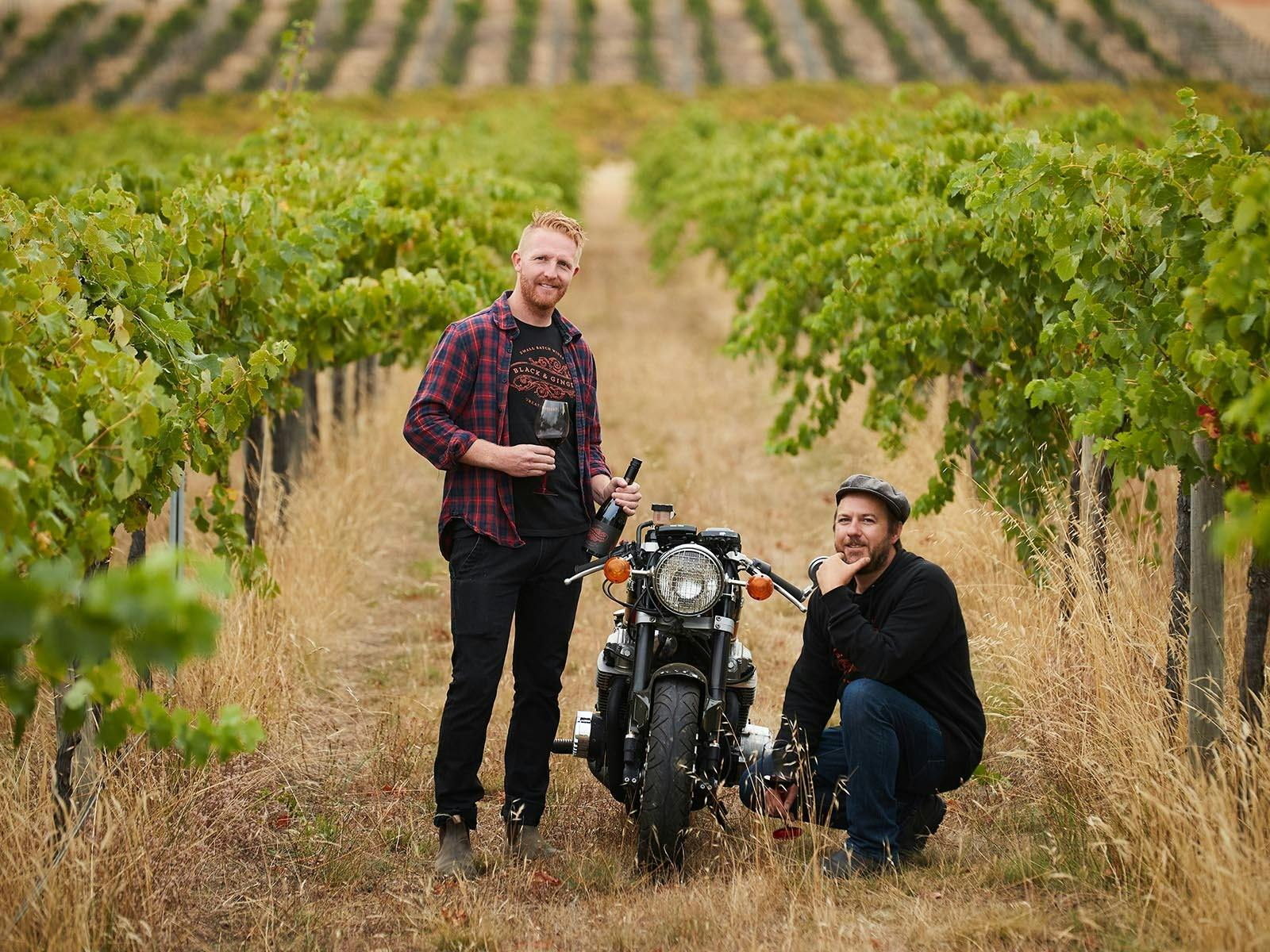 Hadyn and Darcy, the ginger, in the vineyard at Hounds Run