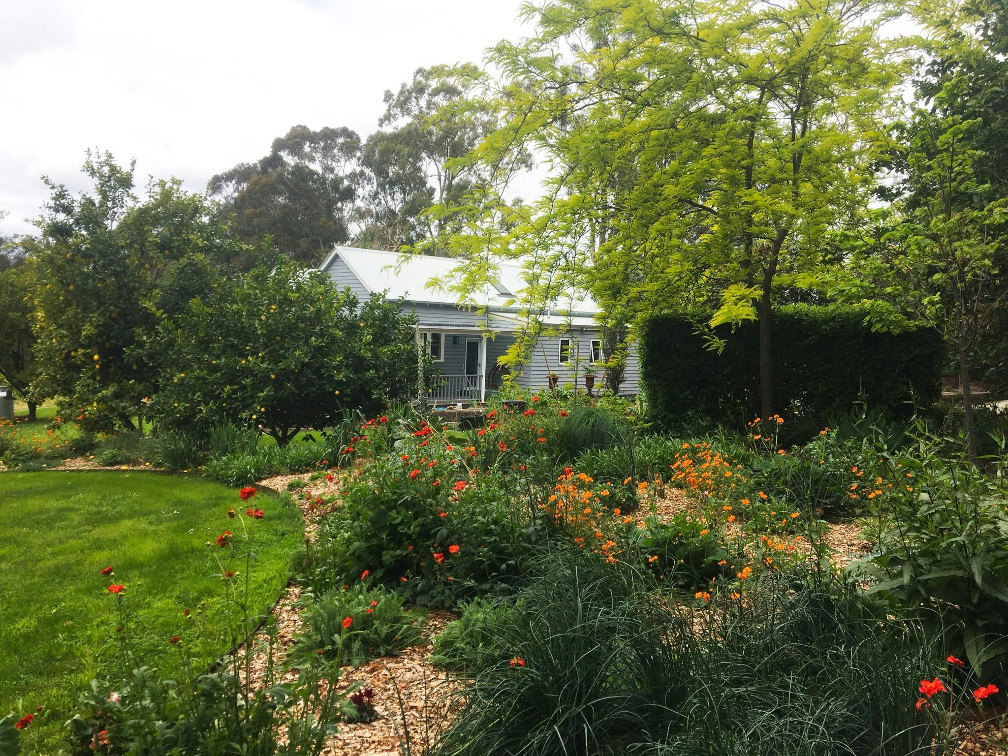 Open Gardens Victoria - Treasured Perennials at The Farm