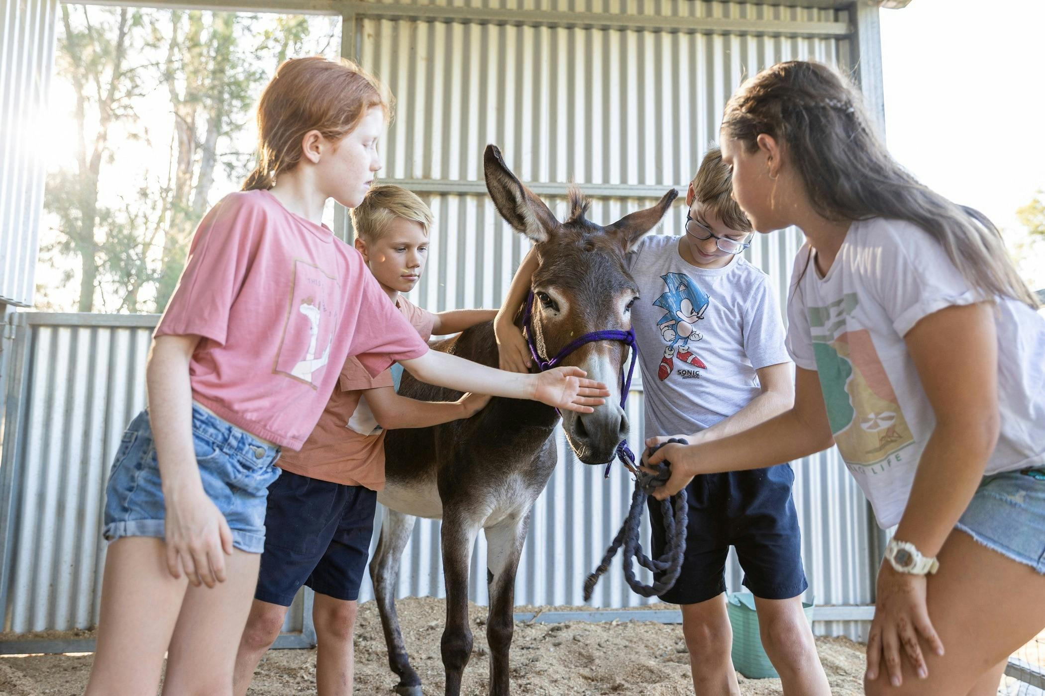 Enjoy time with each of the animals