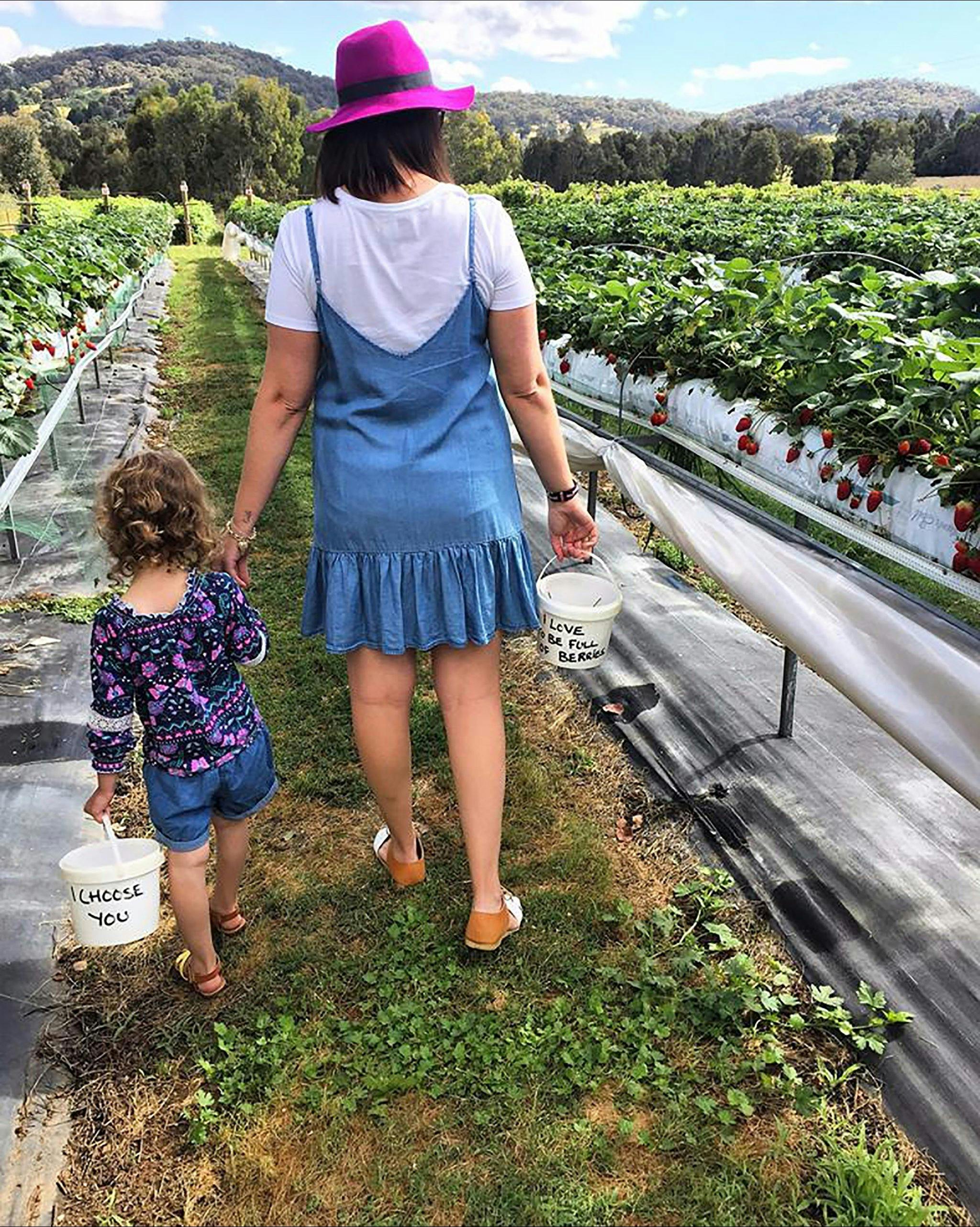 A mother and her girl walk through rows of strawberries with buckets for picking