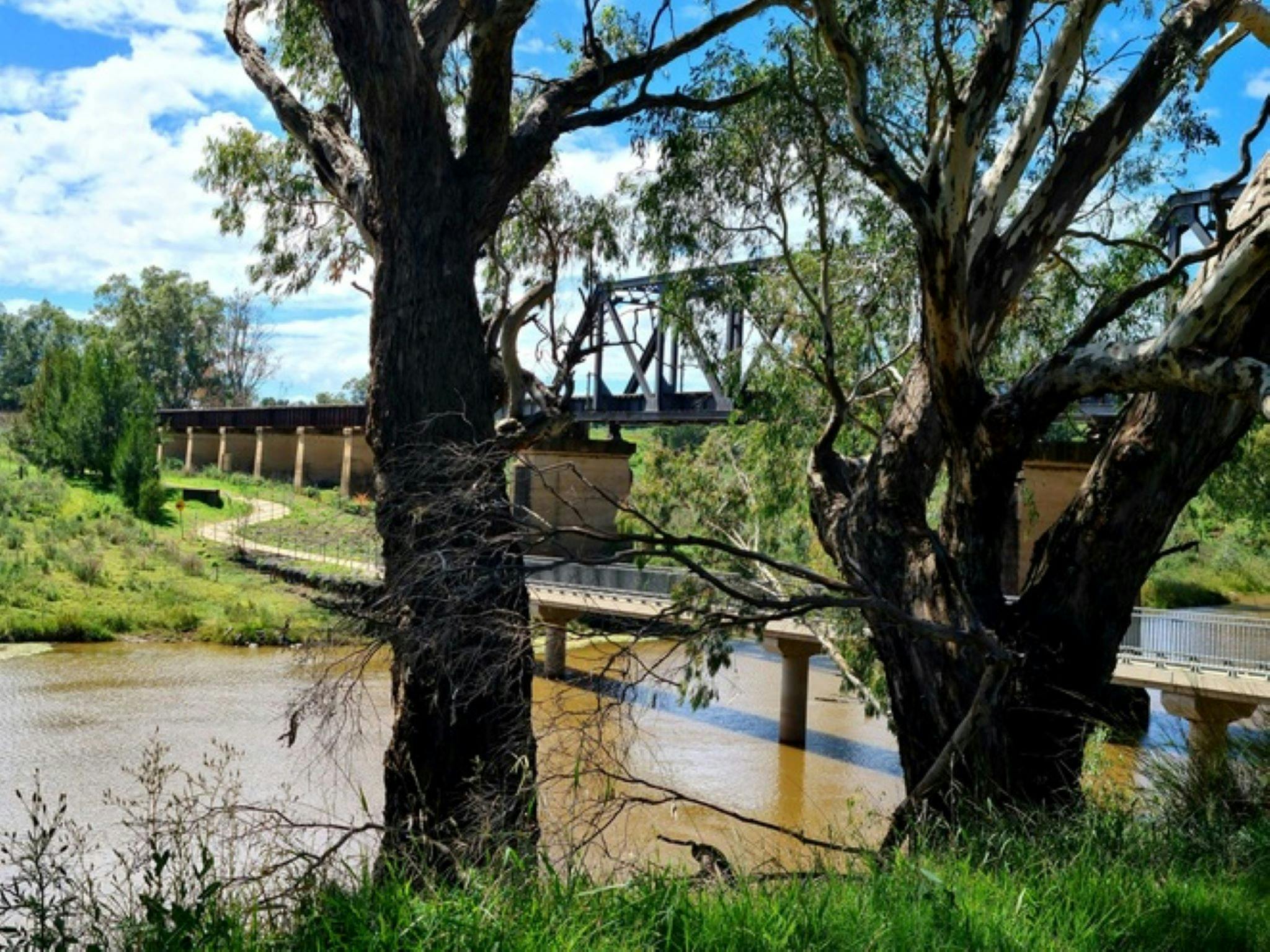 Dubbo's Tracker Riley Cycleway