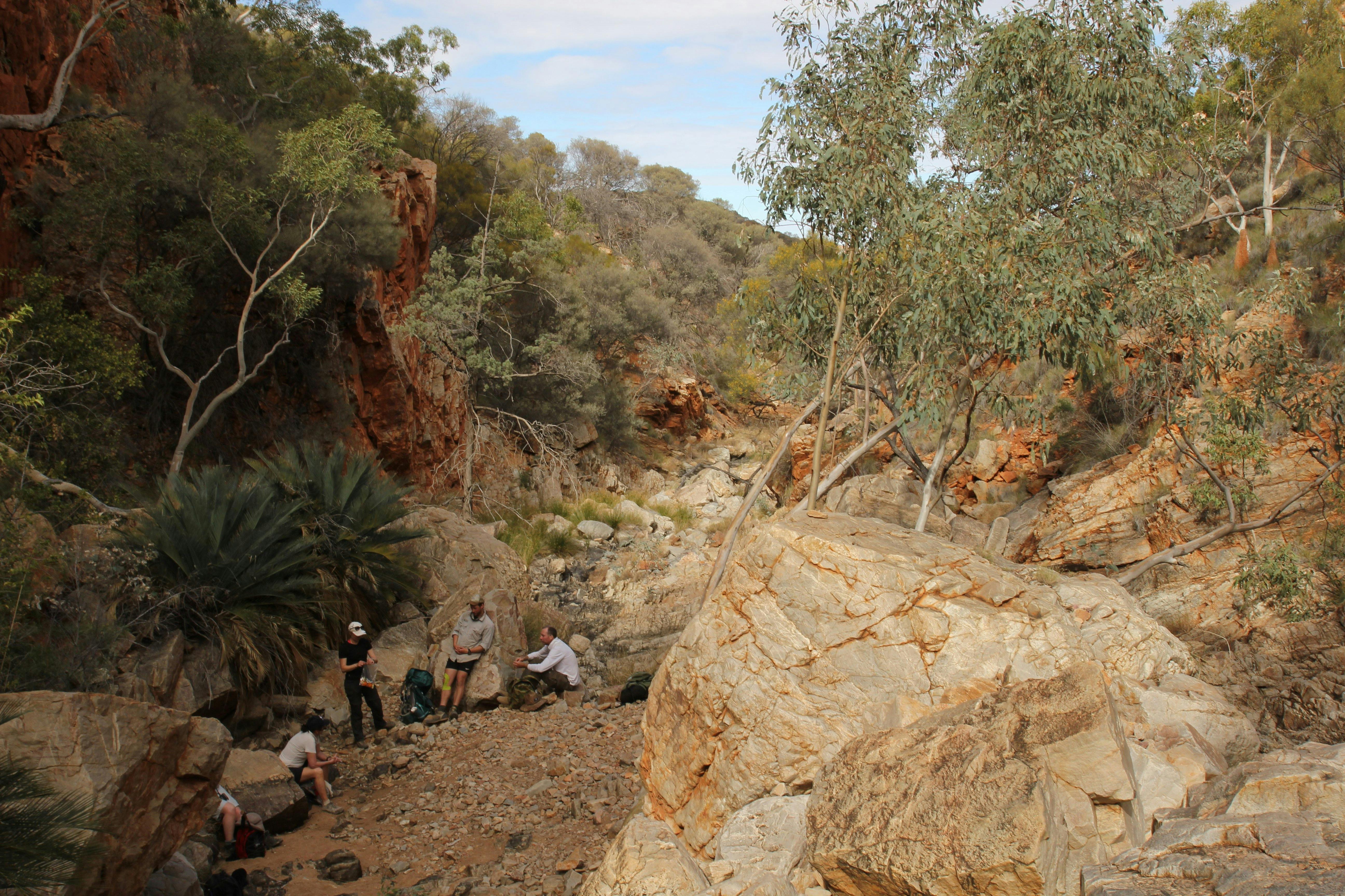 Larapinta Experience in Comfort - 3 Days