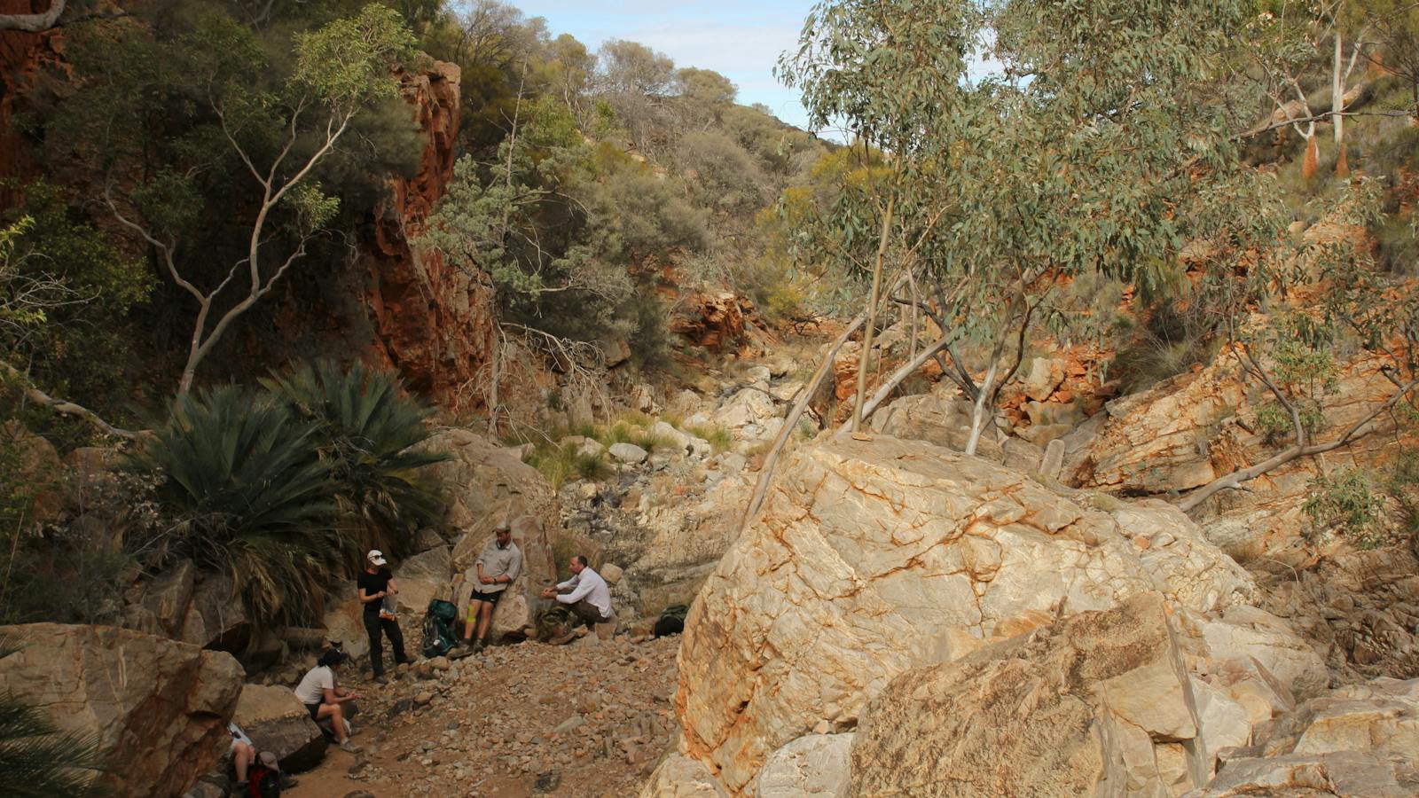 World Expeditions