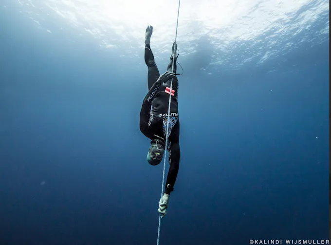 The Pressure Project Marine Experiences - Sunshine Coast