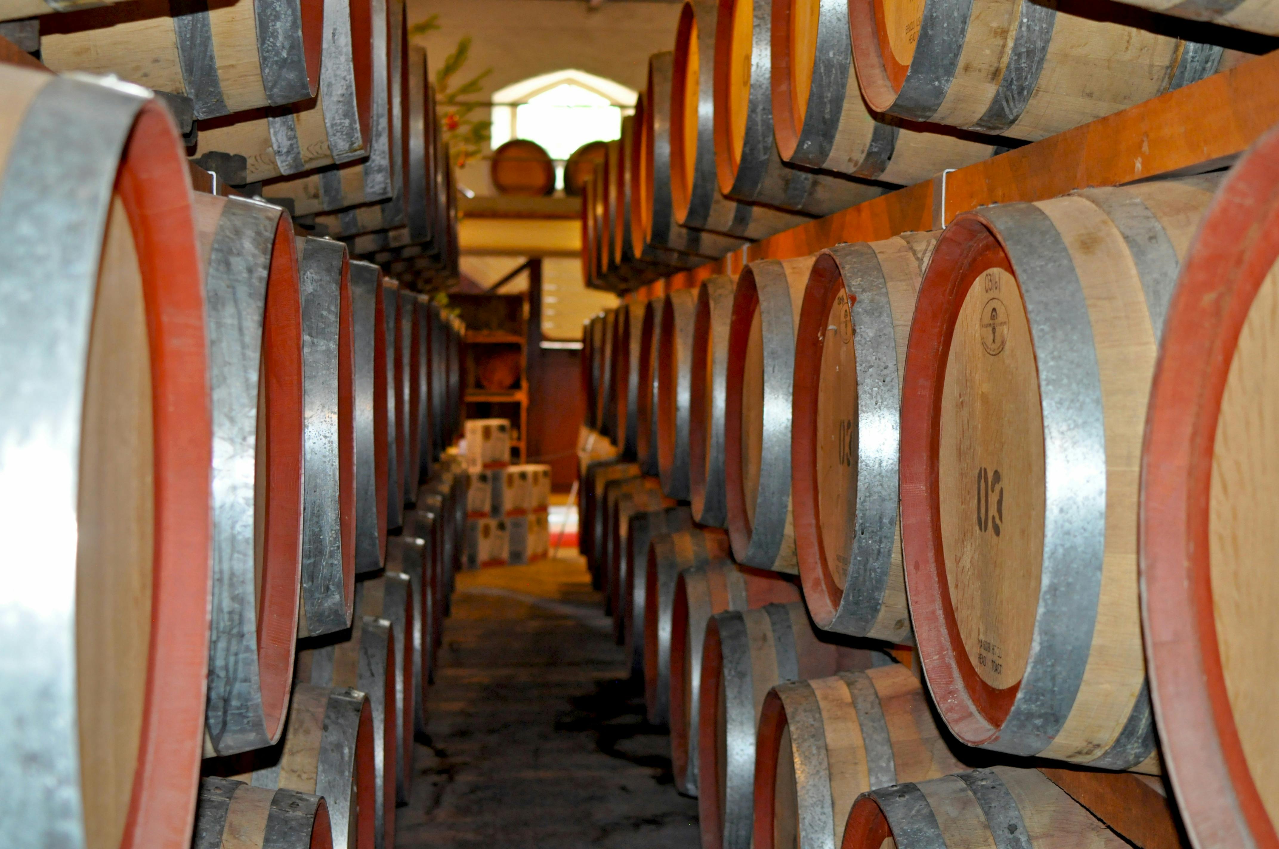 Hahndorf and Barossa Tour