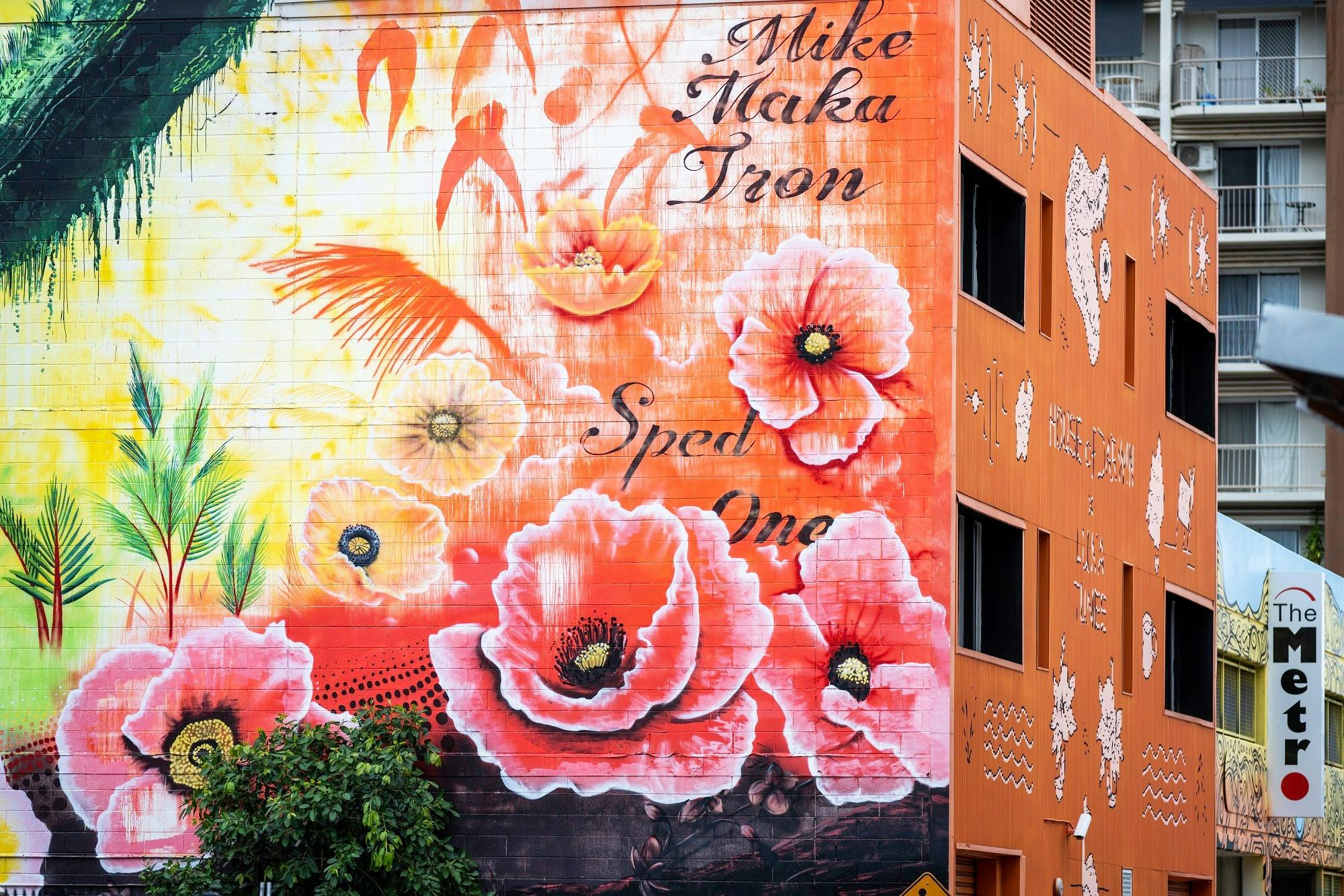 Giant street murals adorn Darwin buildings