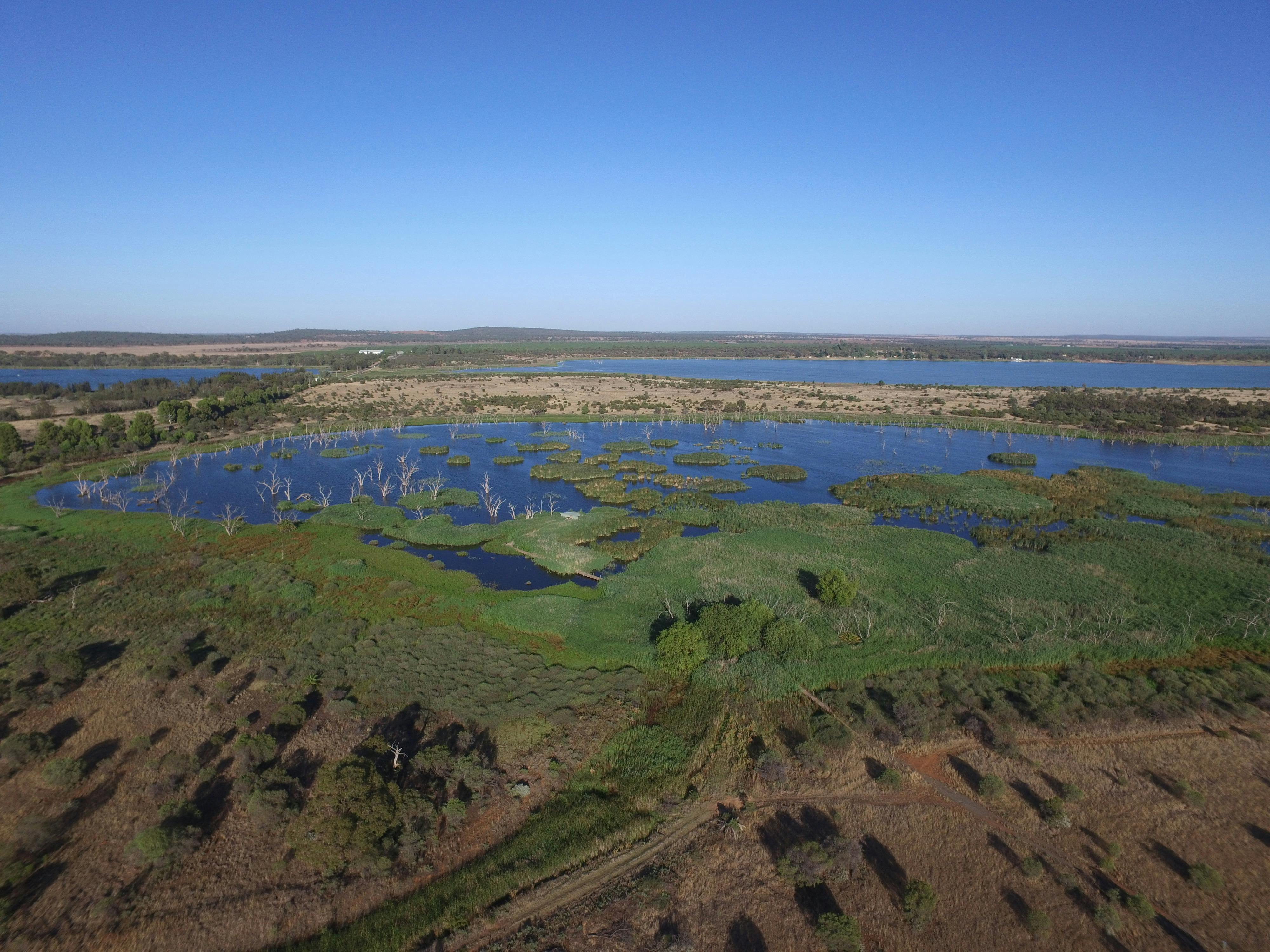 Campbell's Wetlands - Aerial View