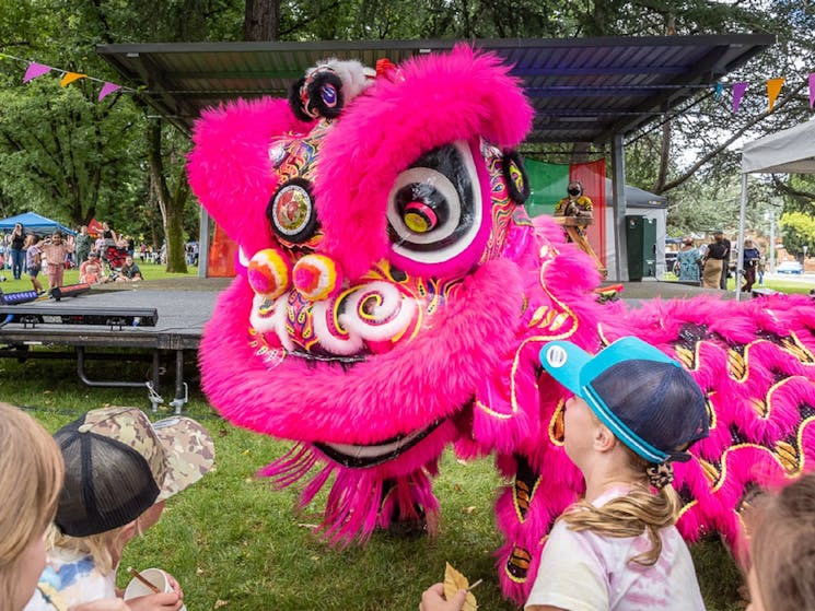 Queanbeyan Multicultural Festival