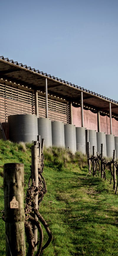 Winery Building