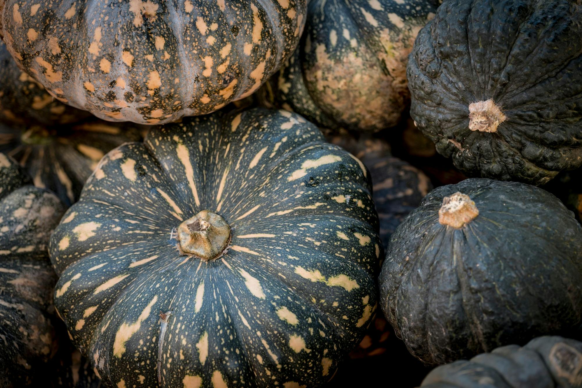 Slow Food Earth Markets Maitland