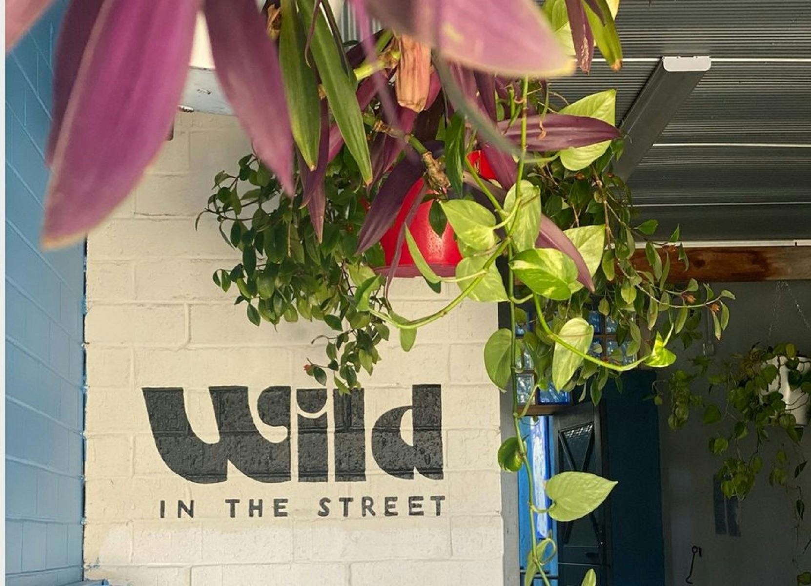 Wild in The Street, Fremantle, Western Australia