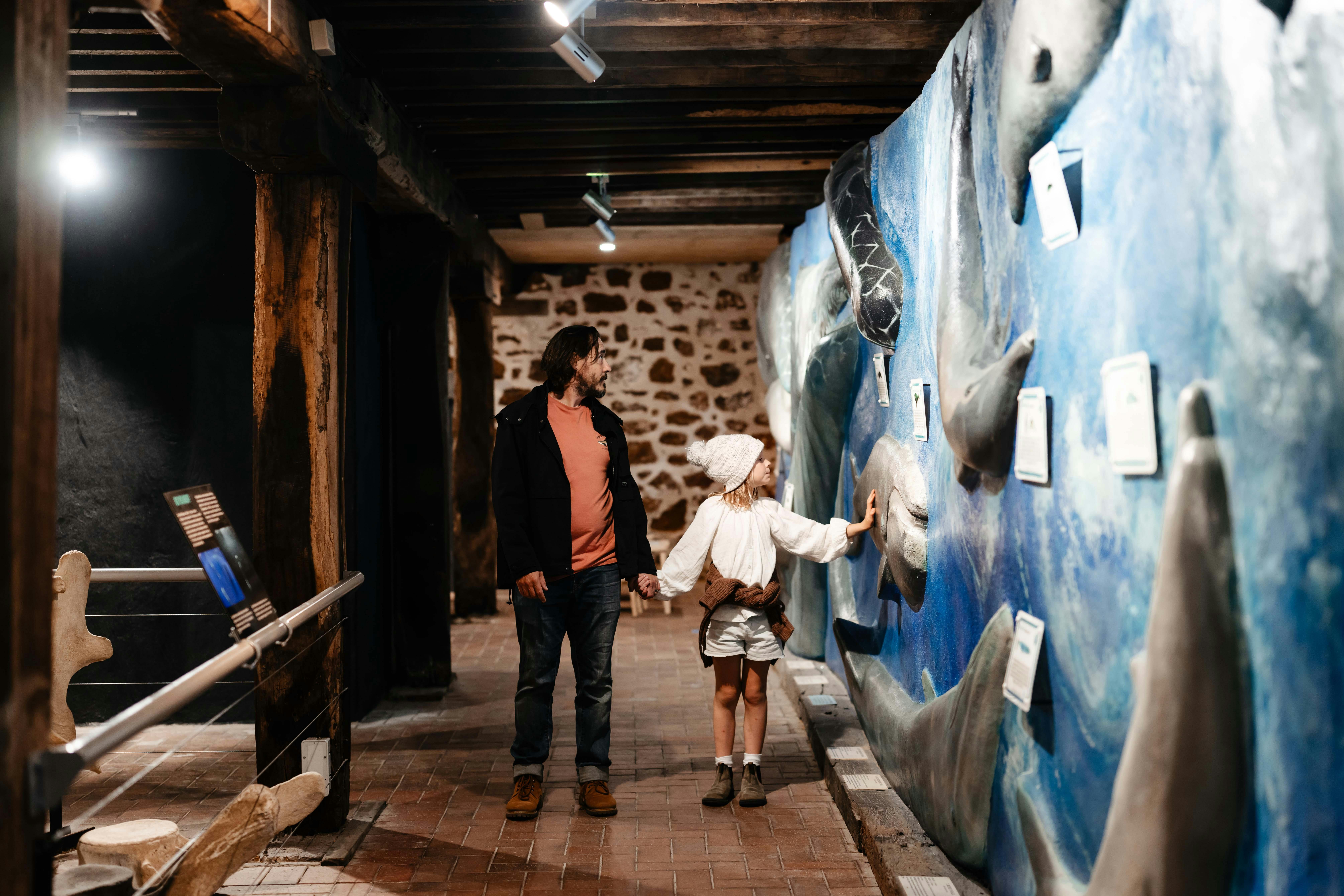 Walking along the whale wall