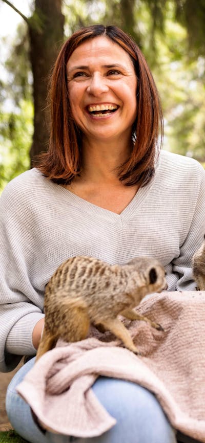 2 women with 3 meerkats on their lap in a zoo enclosure. Feeding the meerkats during an encounter