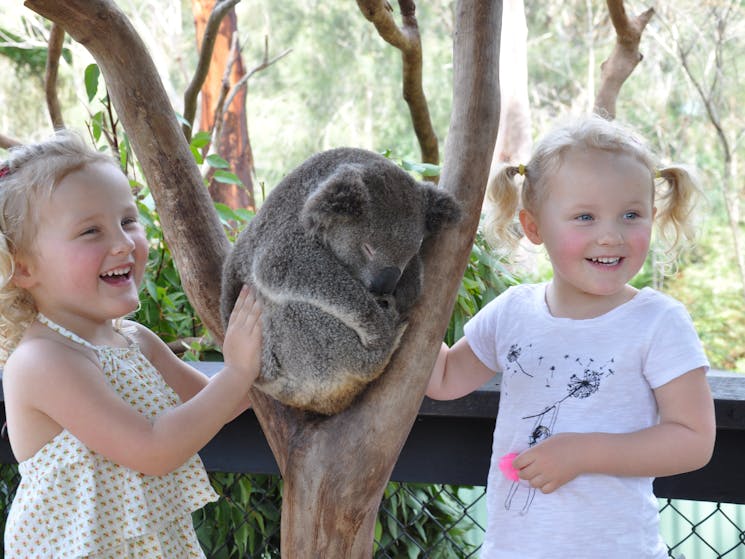 Australian Reptile Park | NSW Holidays & Accommodation, Things to Do