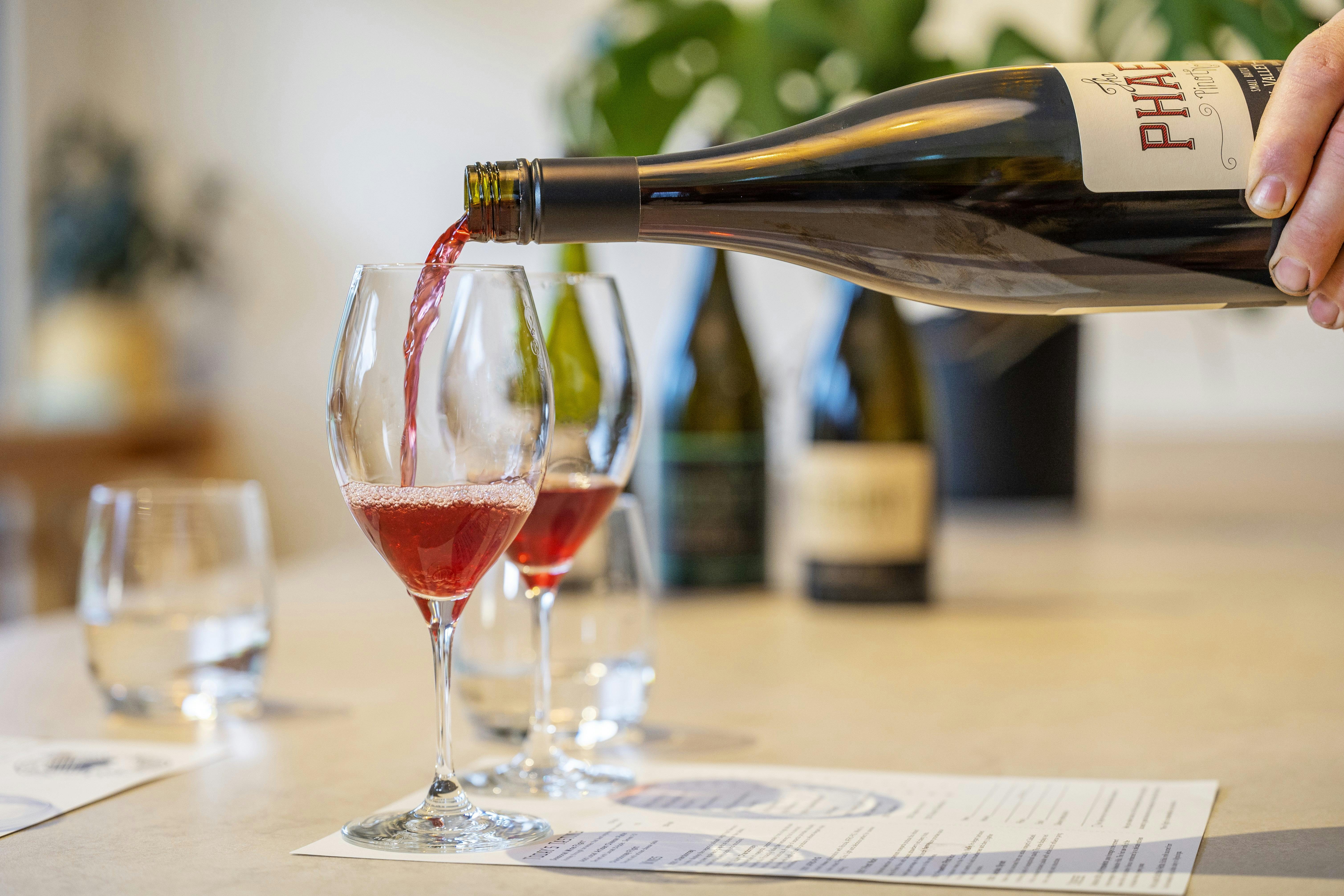 Adelaide Hills Private  Day Tour