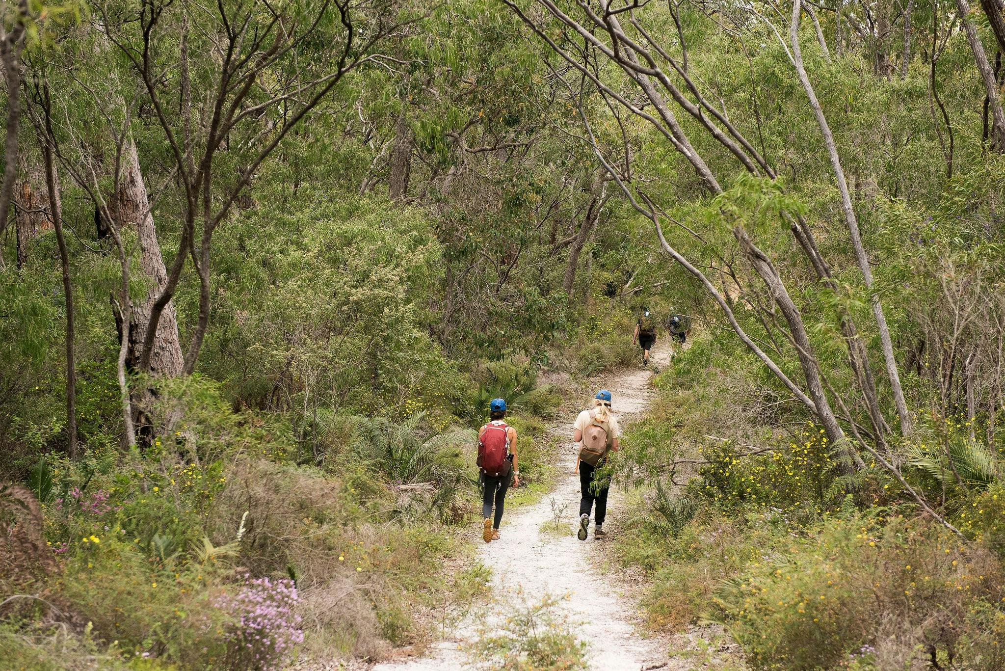 This isolated forest offer one of the most beautiful hiking trails in the region.
