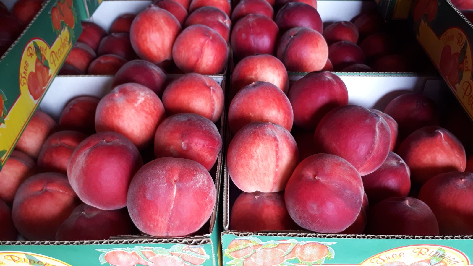 Large Juicy White Peaches