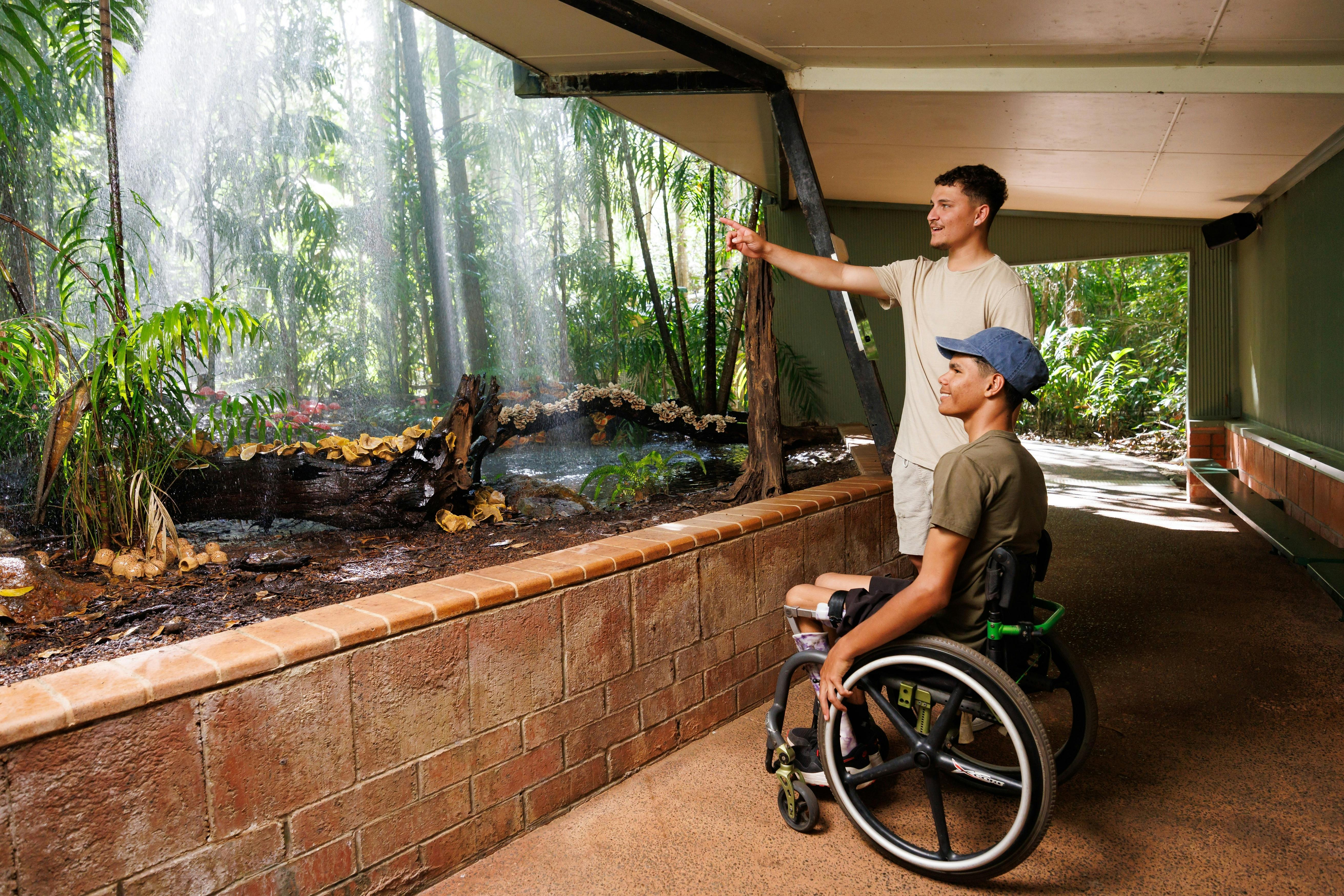 Accessible rainforest discovery at Territory Wildlife Park's immersive Monsoon Forest.