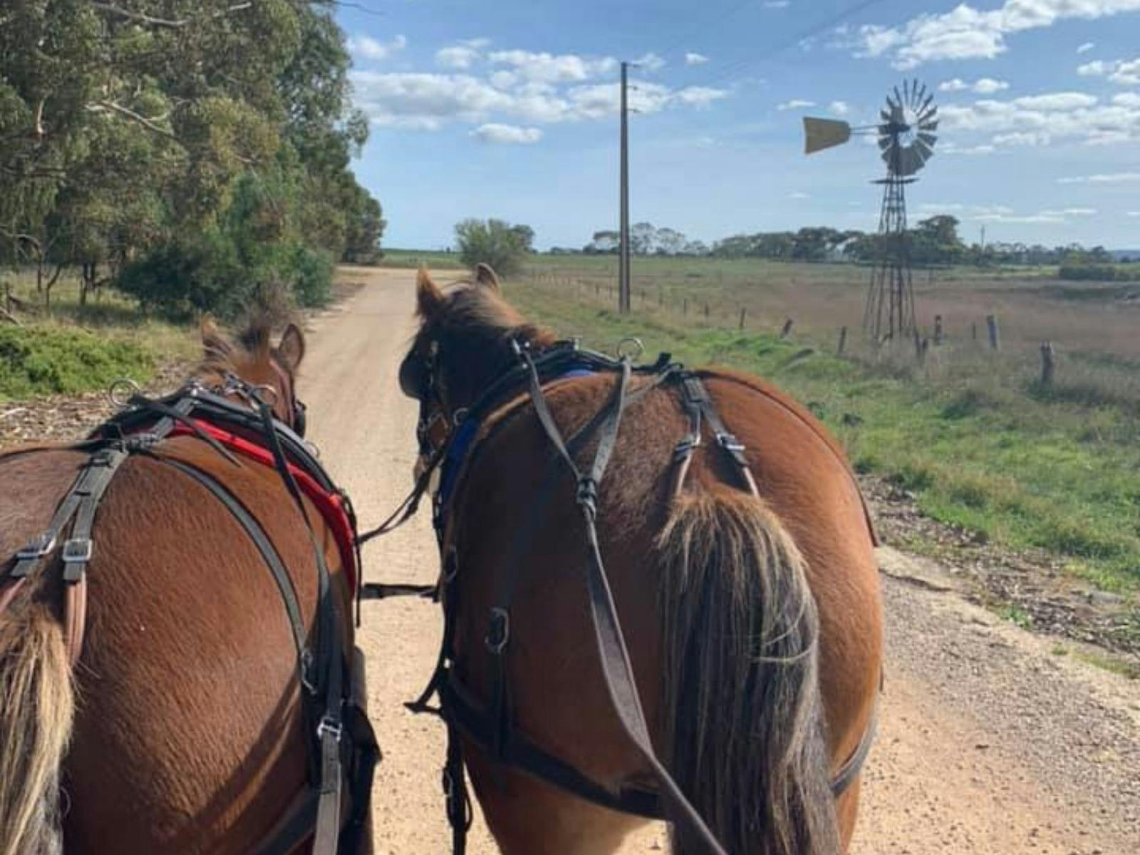 wander through the lovely countryside