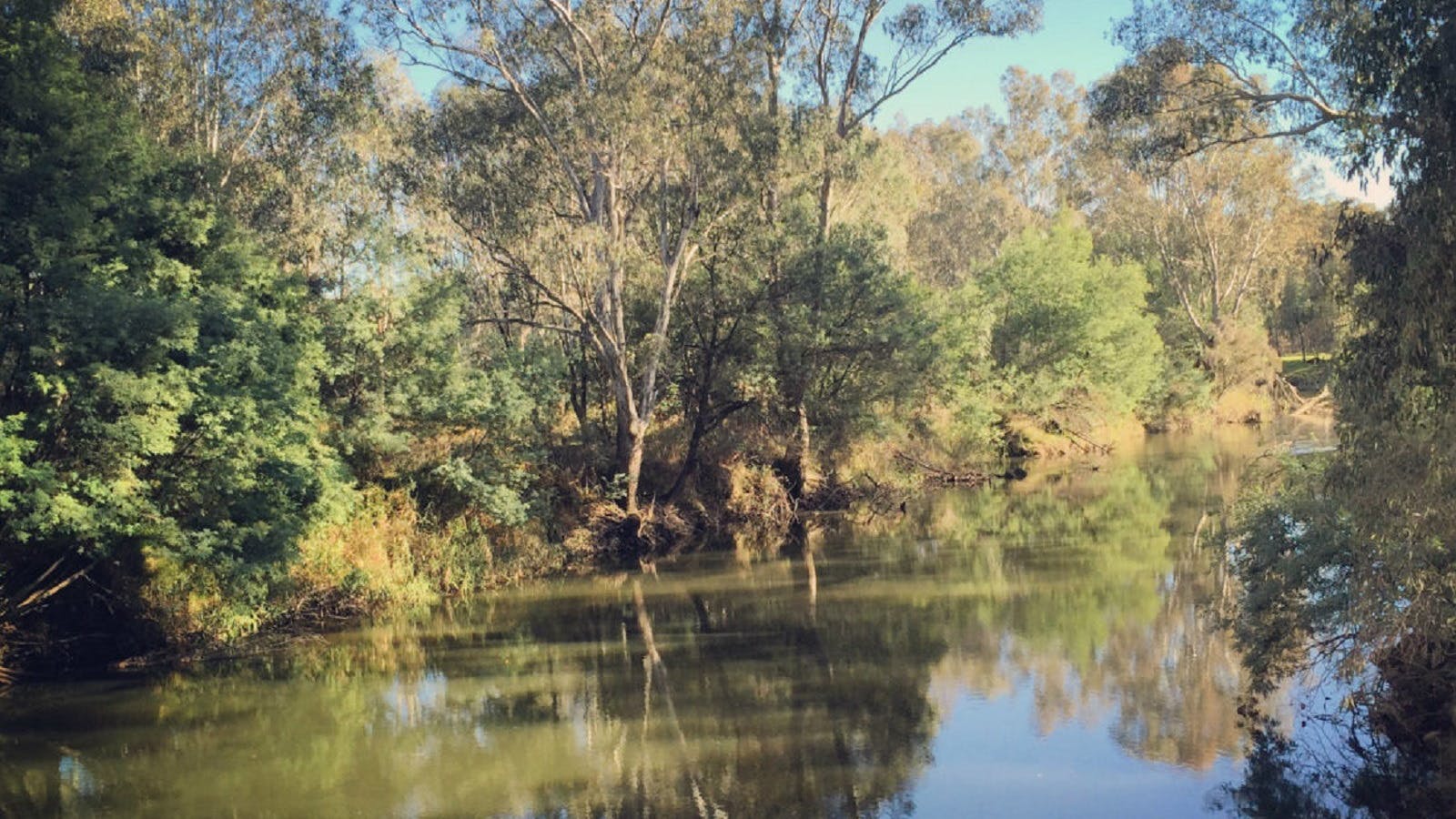 Ovens river,  shadows of trees in the river, trees, river bank, blue sky