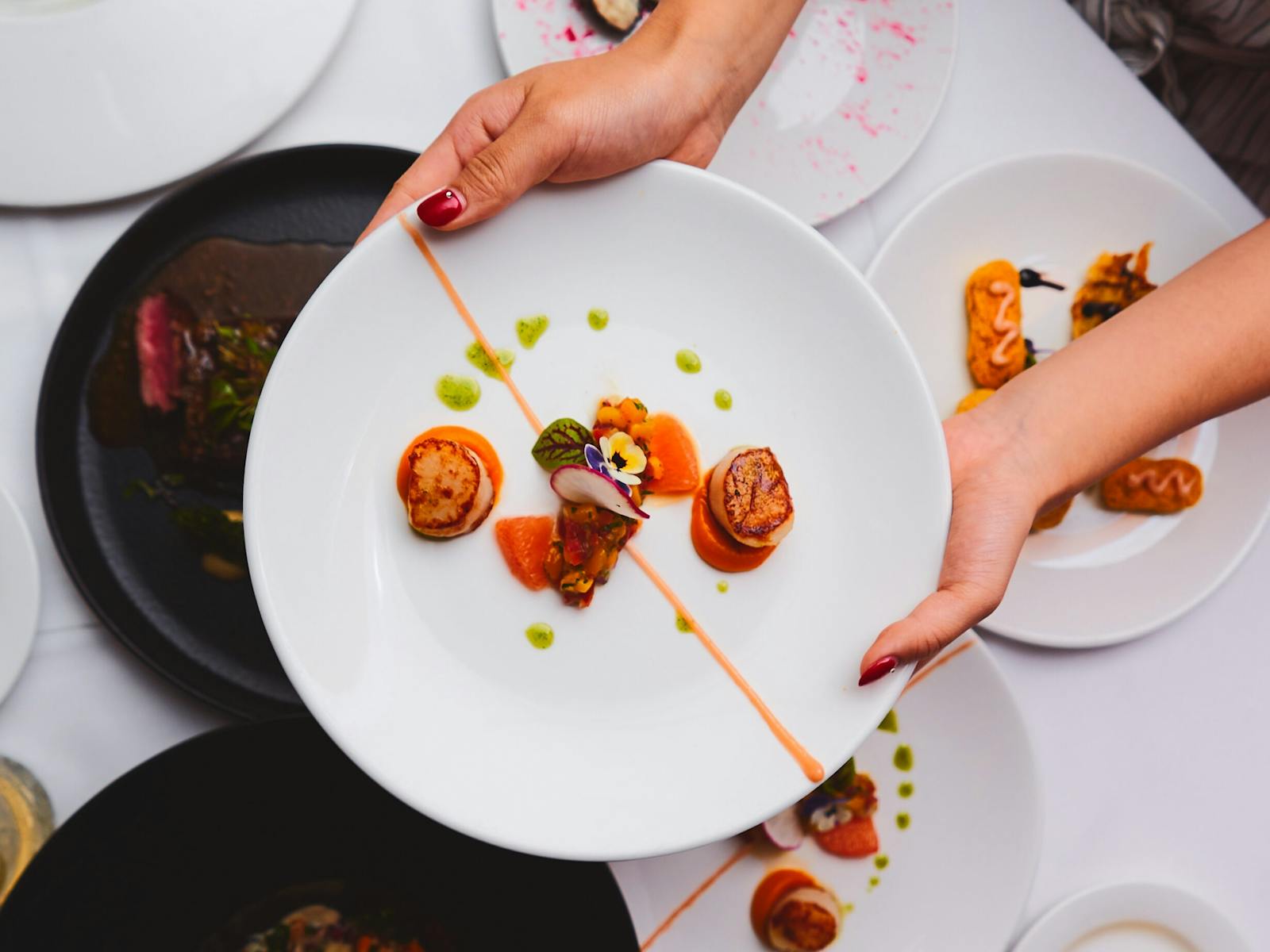 Captain Cook Cruises Sydney Harbour Dinner Cruise