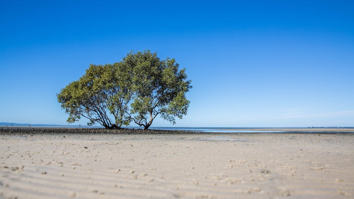 Beachmere Beach Tide Out Moreton Bay Region Australia