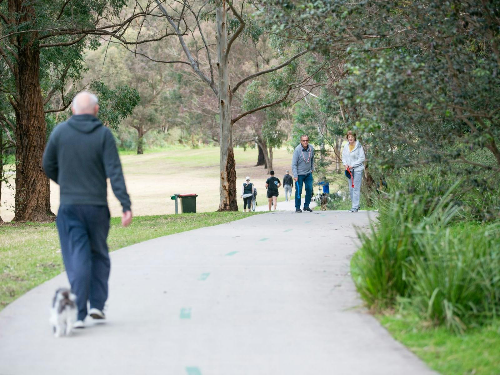 寵物主人帶著他們的狗走向公園裡的無線區