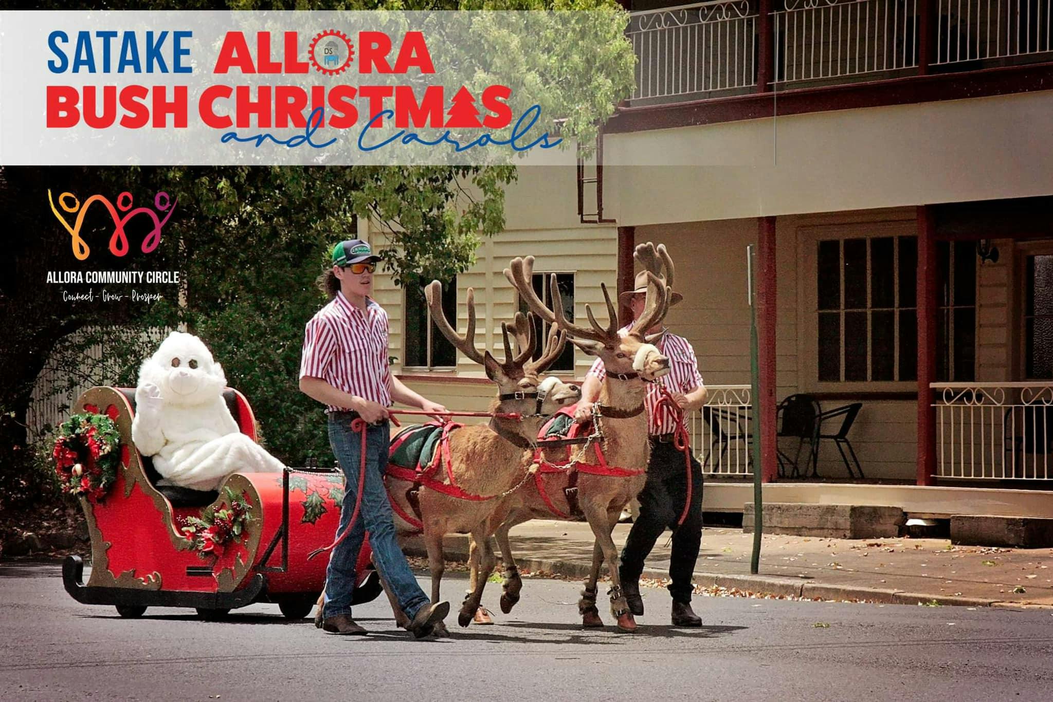 Allora Bush Christmas + Carols