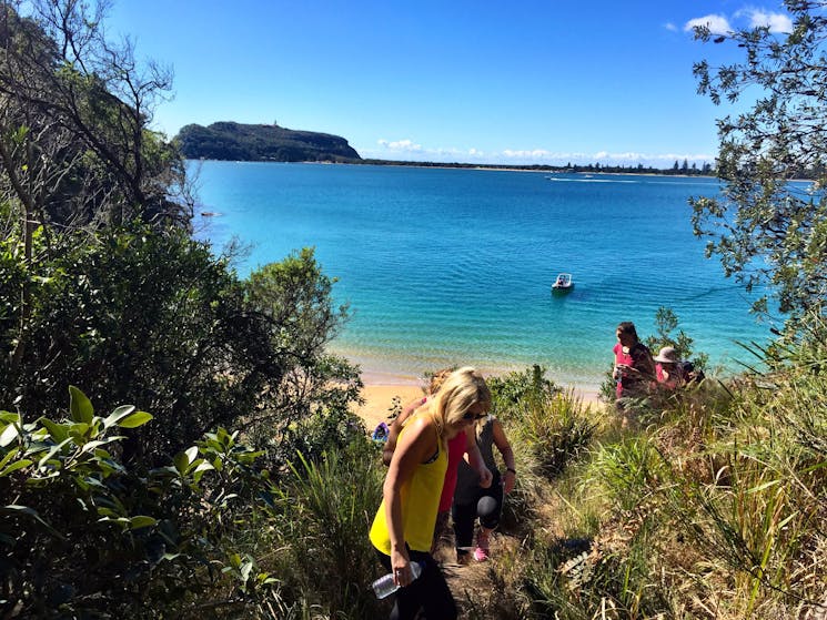 Starting the bushwalk from Resolute Beach