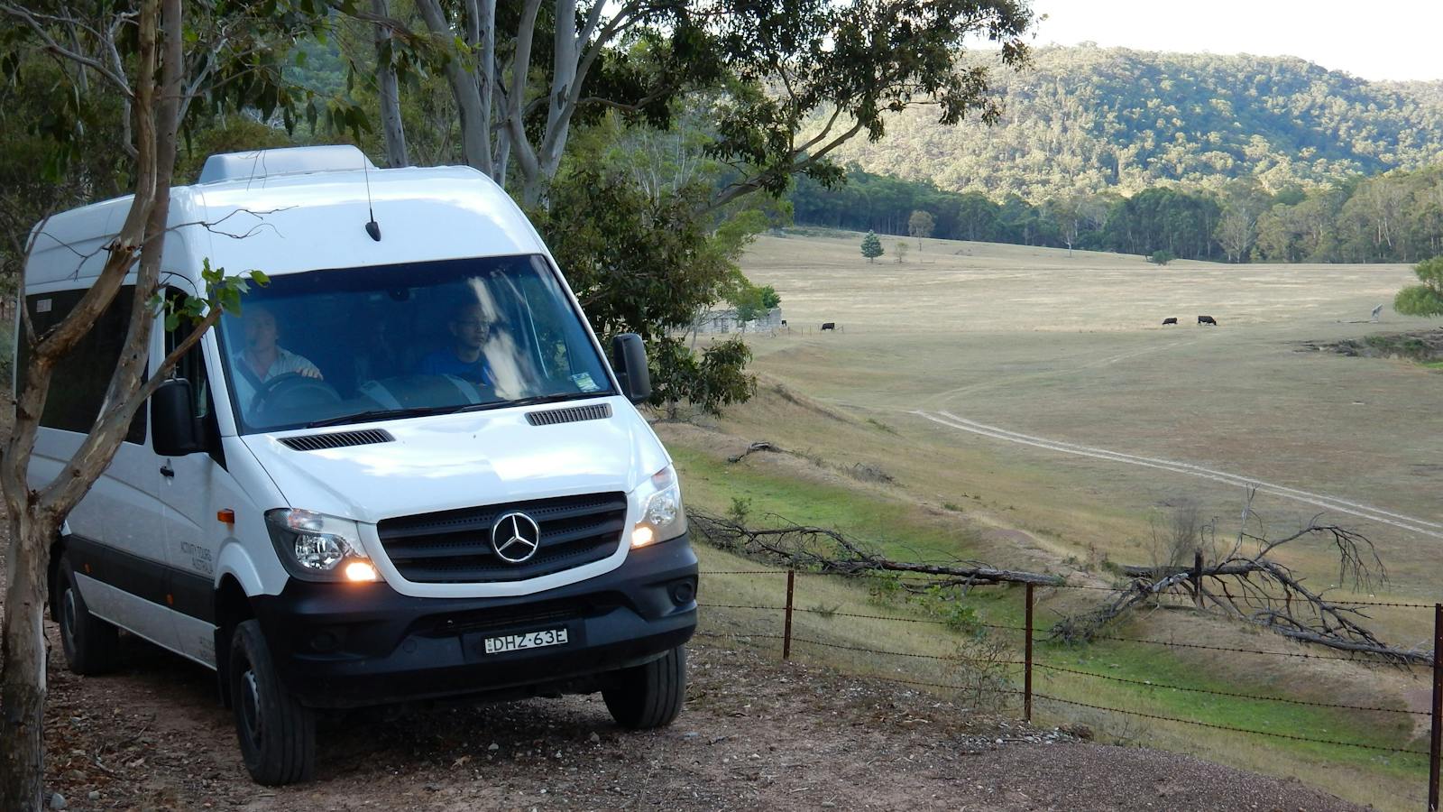 4WD Wildlife Spotting