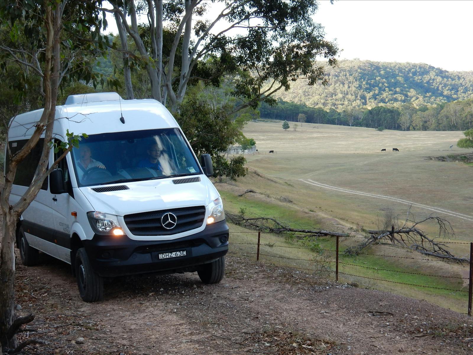 4WD Wildlife Spotting