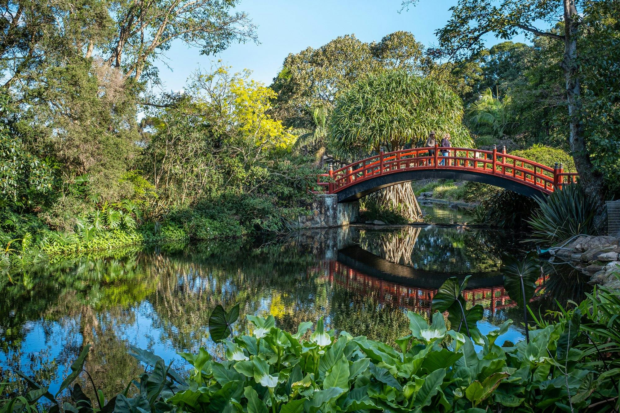 Wollongong Botanic Garden